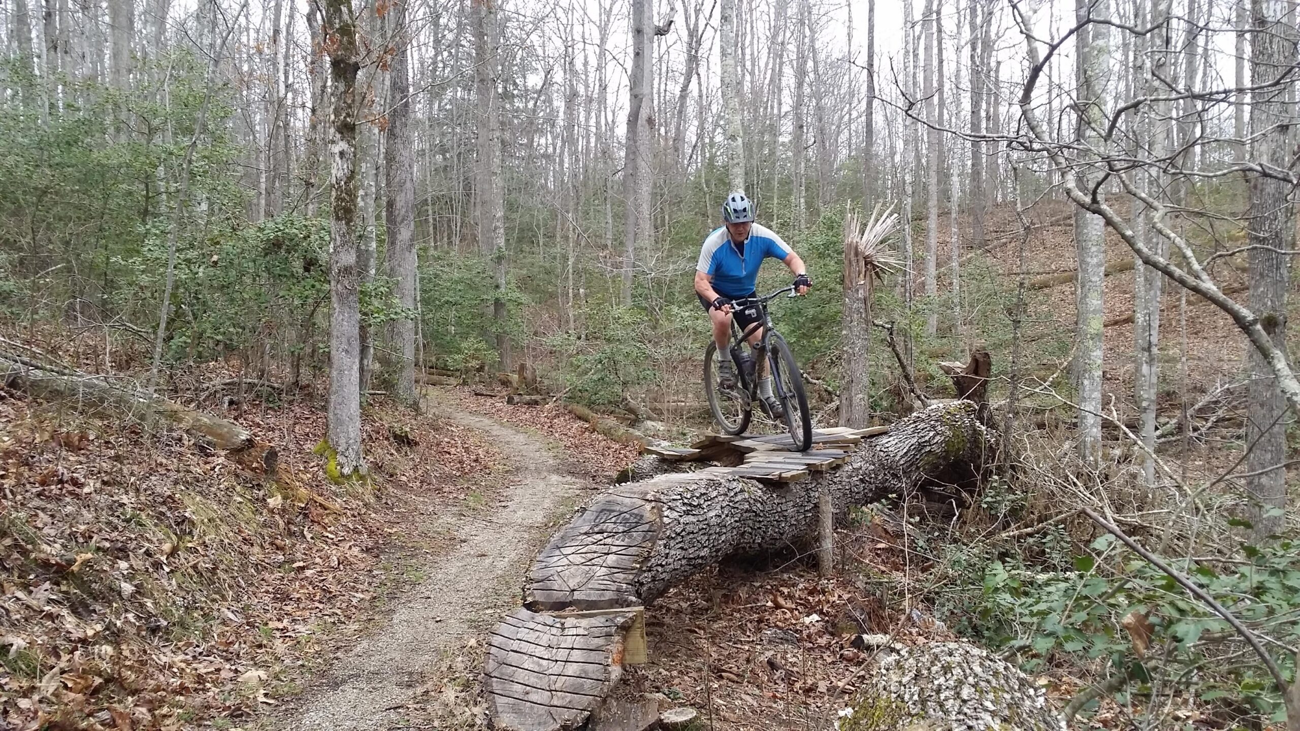 A mountain biker riding over a wooden log bridge on a forest trail, surrounded by trees and fallen leaves, with a clear path leading away in the background. Sheltowee Trace - Laurel Lake Trail mountain bike trail.