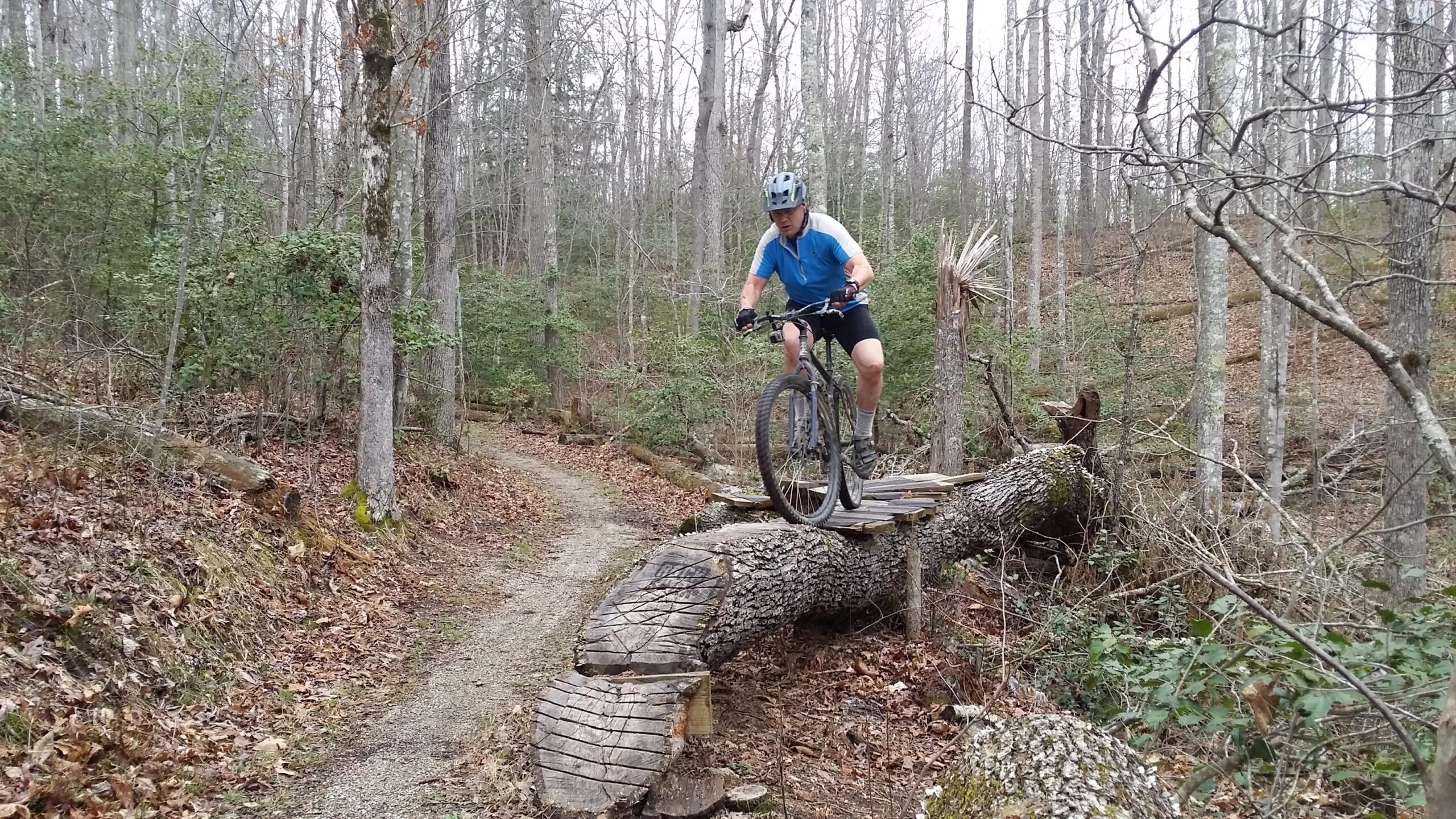 A mountain biker navigates a wooden bridge made from a fallen tree trunk while riding along a forest trail, surrounded by bare trees and greenery. Sheltowee Trace - Laurel Lake Trail mountain bike trail.