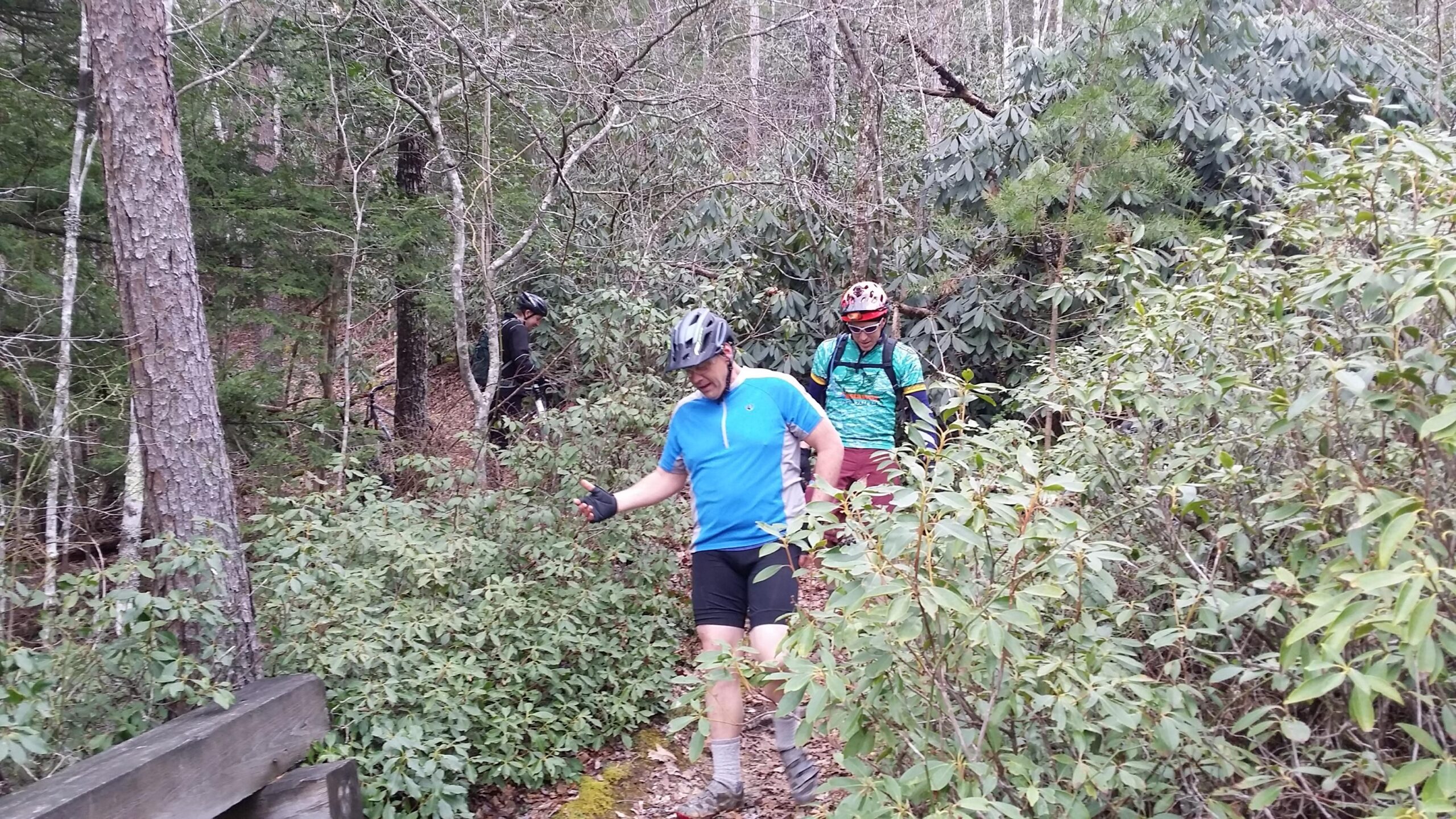 A group of three individuals navigating a wooded trail, wearing helmets and cycling gear. The landscape features dense greenery and trees, with the path partially obscured by bushes. One person is walking ahead, gesturing, while the others follow behind. Sheltowee Trace - Laurel Lake Trail mountain bike trail.