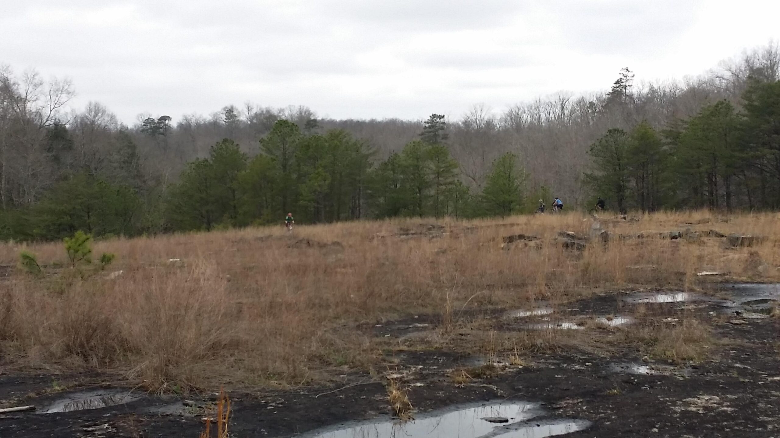 A scenic outdoor landscape featuring a grassy area with patches of rocky terrain. In the background, there are several trees and a cloudy sky. Two cyclists can be seen riding on a trail in the distance, enjoying the natural surroundings. Small puddles are visible on the ground, indicating recent moisture. Sheltowee Trace - Laurel Lake Trail mountain bike trail.