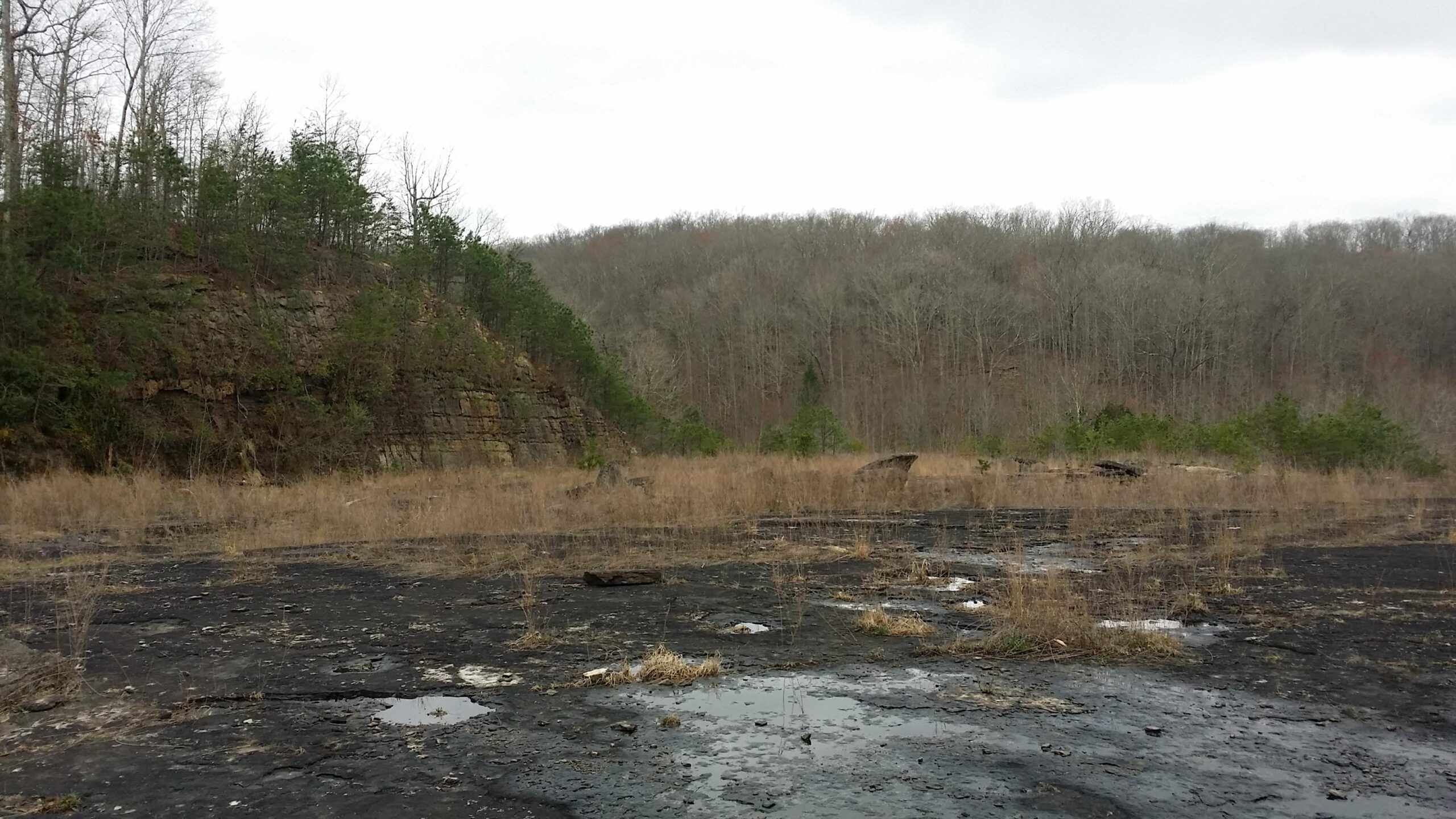 A rocky landscape with sparse vegetation, featuring a cliff on the left side and a barren, uneven terrain covered in patches of dried grass and small pools of water. In the background, leafless trees create a stark contrast against a cloudy sky. Sheltowee Trace - Laurel Lake Trail mountain bike trail.