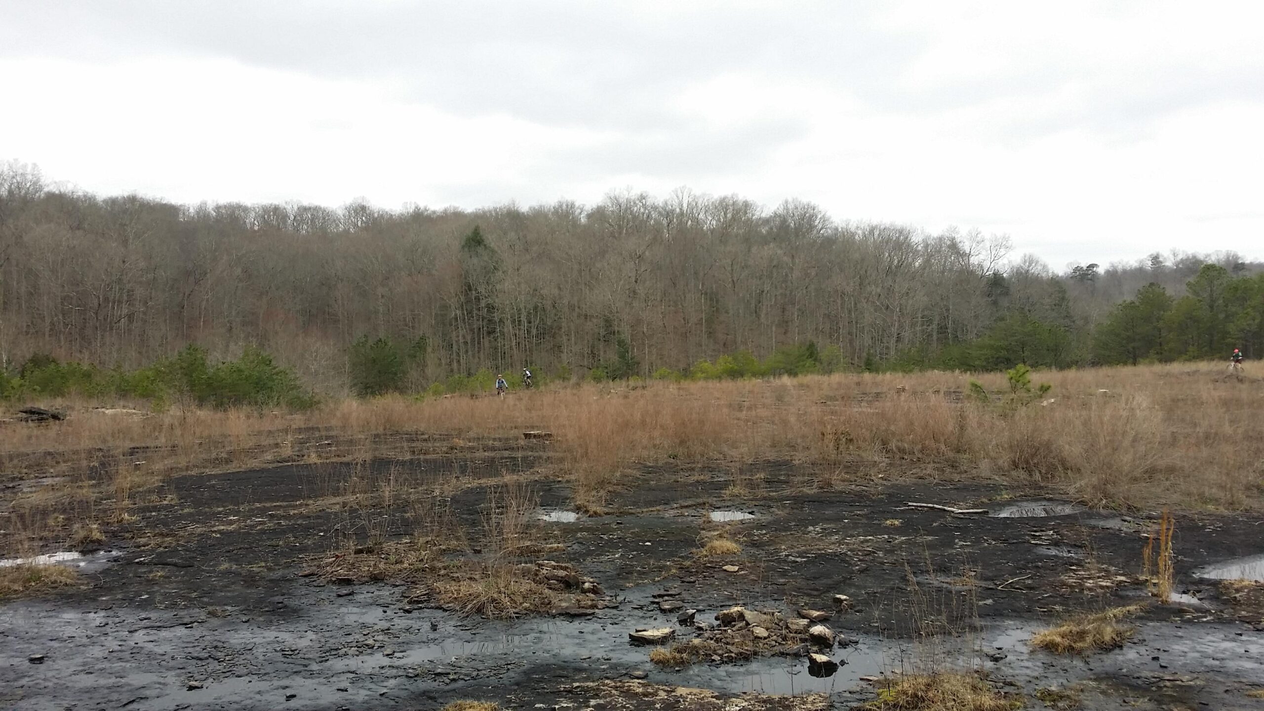 A panoramic view of a barren landscape featuring patches of blackened earth and sparse, dry grasses. In the background, a forest of leafless trees and some evergreen bushes is visible under a cloudy sky. Two cyclists can be seen riding in the distance on the edge of the wooded area. Sheltowee Trace - Laurel Lake Trail mountain bike trail.