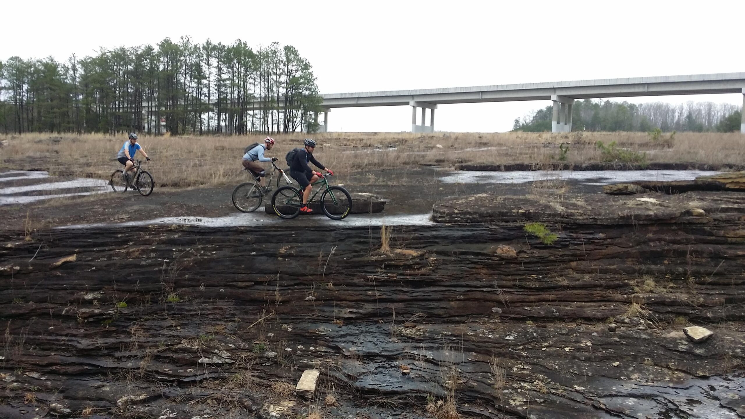 Two mountain bikers navigate rocky terrain in a grassy area, with pine trees in the background and a bridge overhead. The ground is uneven, featuring layers of exposed rock and patches of wet ground. The atmosphere is overcast, suggesting a cool day for biking. Sheltowee Trace - Laurel Lake Trail mountain bike trail.