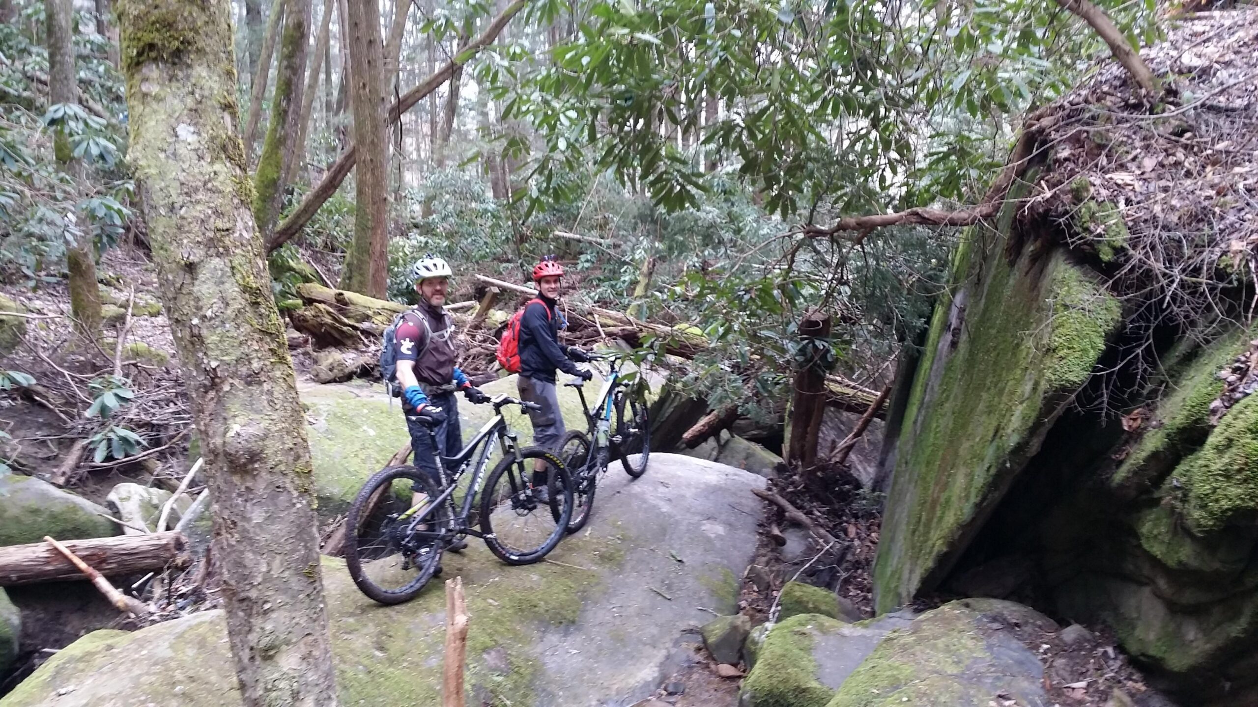 Two mountain bikers pause on a moss-covered rock in a forested area. One rider is wearing a red helmet and a black jacket while the other has a lighter helmet and a brown shirt. Surrounding them are tall trees and dense greenery, with fallen branches and rocks scattered across the forest floor. The atmosphere is serene and natural, ideal for outdoor biking adventures. Laural Lake To Cumberland Falls (sheltowee Trace) mountain bike trail.