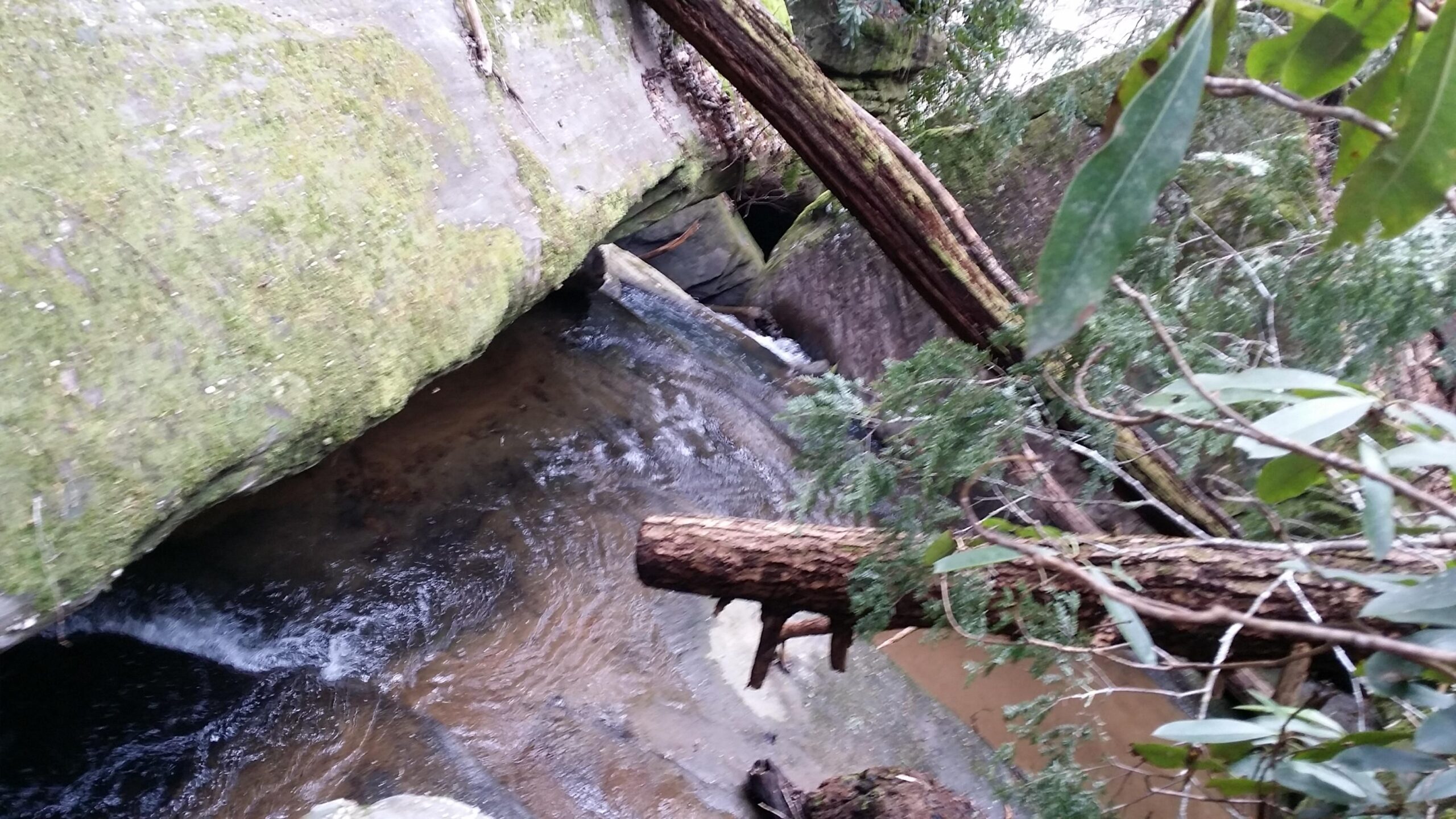 A serene view of a small river flowing between moss-covered rocks, surrounded by trees and fallen branches. The water appears clear and gently flowing, creating a peaceful natural scene. Laural Lake To Cumberland Falls (sheltowee Trace) mountain bike trail.