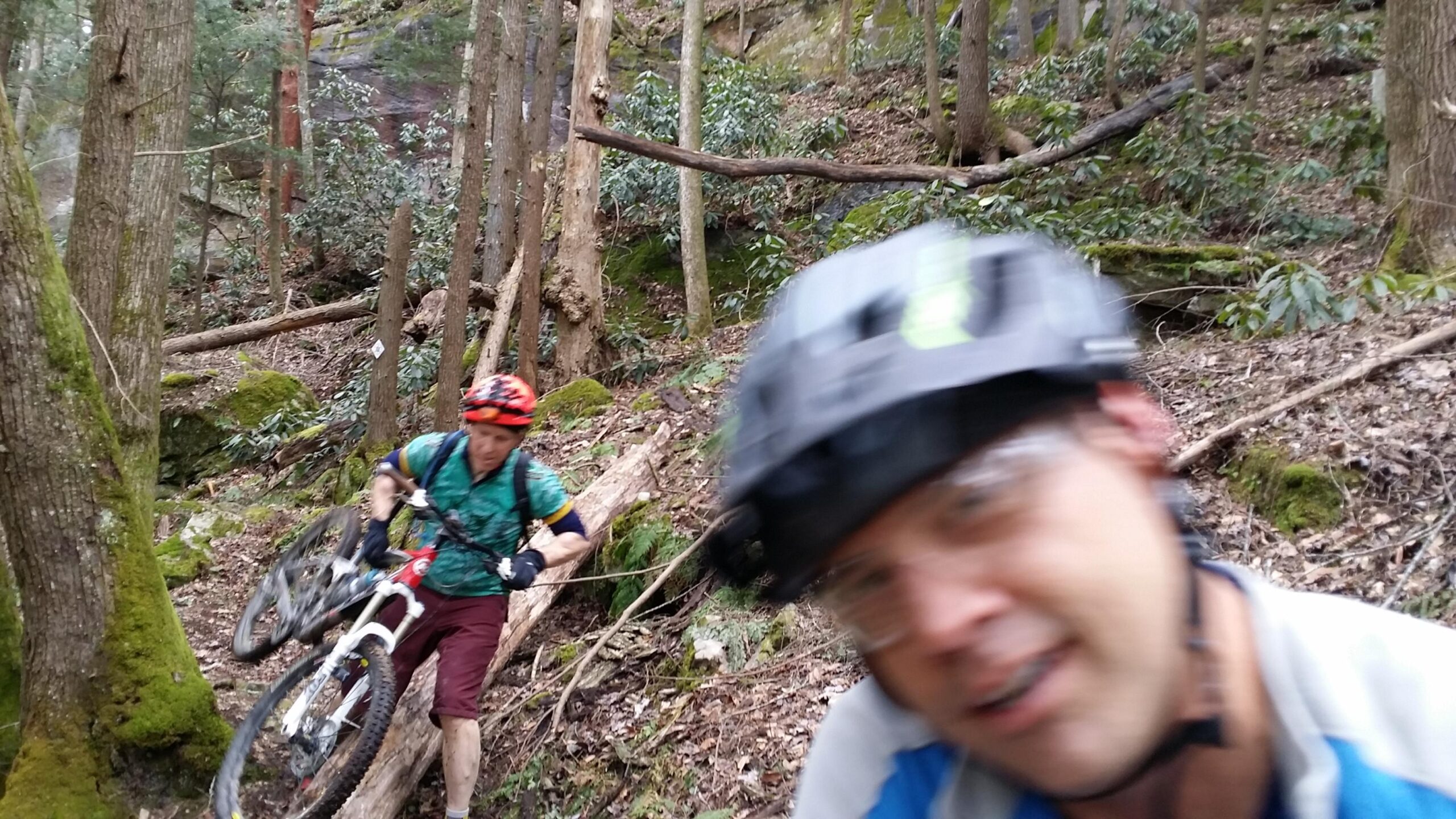 Two mountain bikers navigating a wooded trail surrounded by trees and greenery. One rider, in a green shirt with a colorful helmet, is lifting a bicycle over a fallen log, while the other, blurred in the foreground, is wearing a grey and blue helmet and shirt. The scene depicts an outdoor adventure in a natural setting. Laural Lake To Cumberland Falls (sheltowee Trace) mountain bike trail.