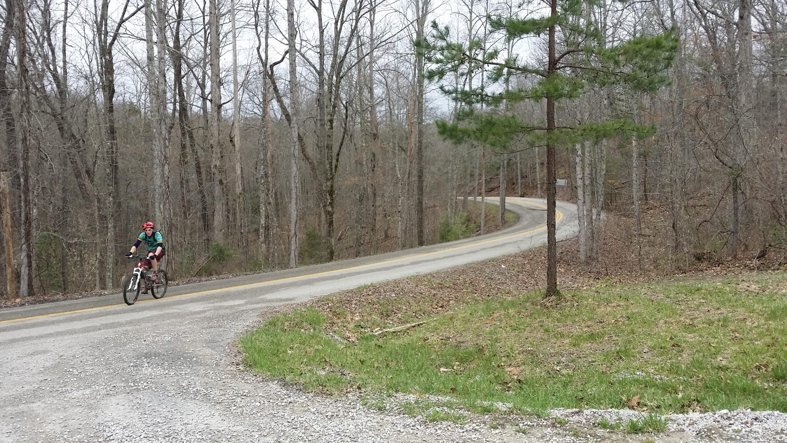 A mountain biker dressed in a green and black jersey rides on a winding road surrounded by bare trees. The scene features a mix of gravel and grassy areas, with a tree standing on the roadside. The sky is overcast, suggesting a cool, cloudy day. Laural Lake To Cumberland Falls (sheltowee Trace) mountain bike trail.