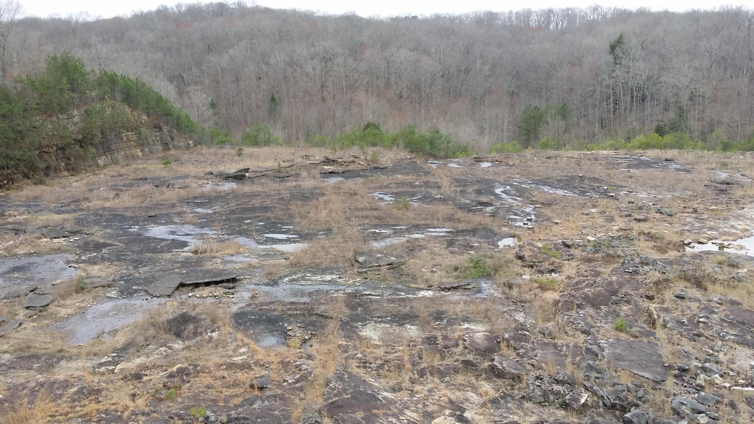 A rocky landscape with patches of sparse grass and small shrubs, set against a backdrop of bare trees on a hillside. The ground features exposed rock formations with visible water patches, indicating recent rainfall. The overall scene is tranquil and natural, reflecting a rugged, undeveloped outdoor area. Sheltowee Trace - Laurel Lake Trail mountain bike trail.