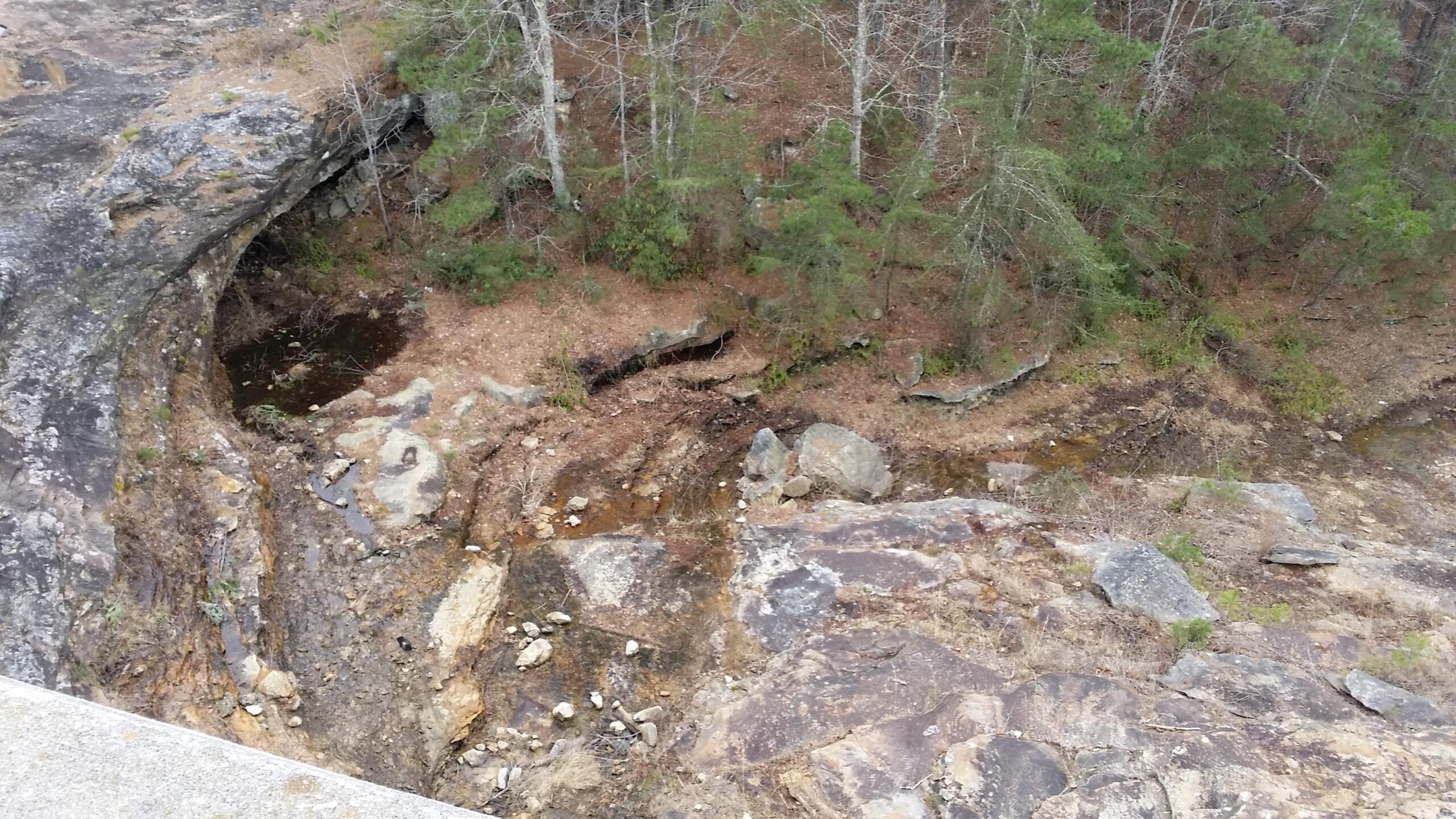 A rocky landscape featuring a steep slope with exposed stones and patches of dry earth, along with sparse vegetation. A small pool of water is visible in a depression between the rocks, surrounded by fallen leaves and sparse trees in the background. The scene has a natural, rugged appearance. Sheltowee Trace - Laurel Lake Trail mountain bike trail.