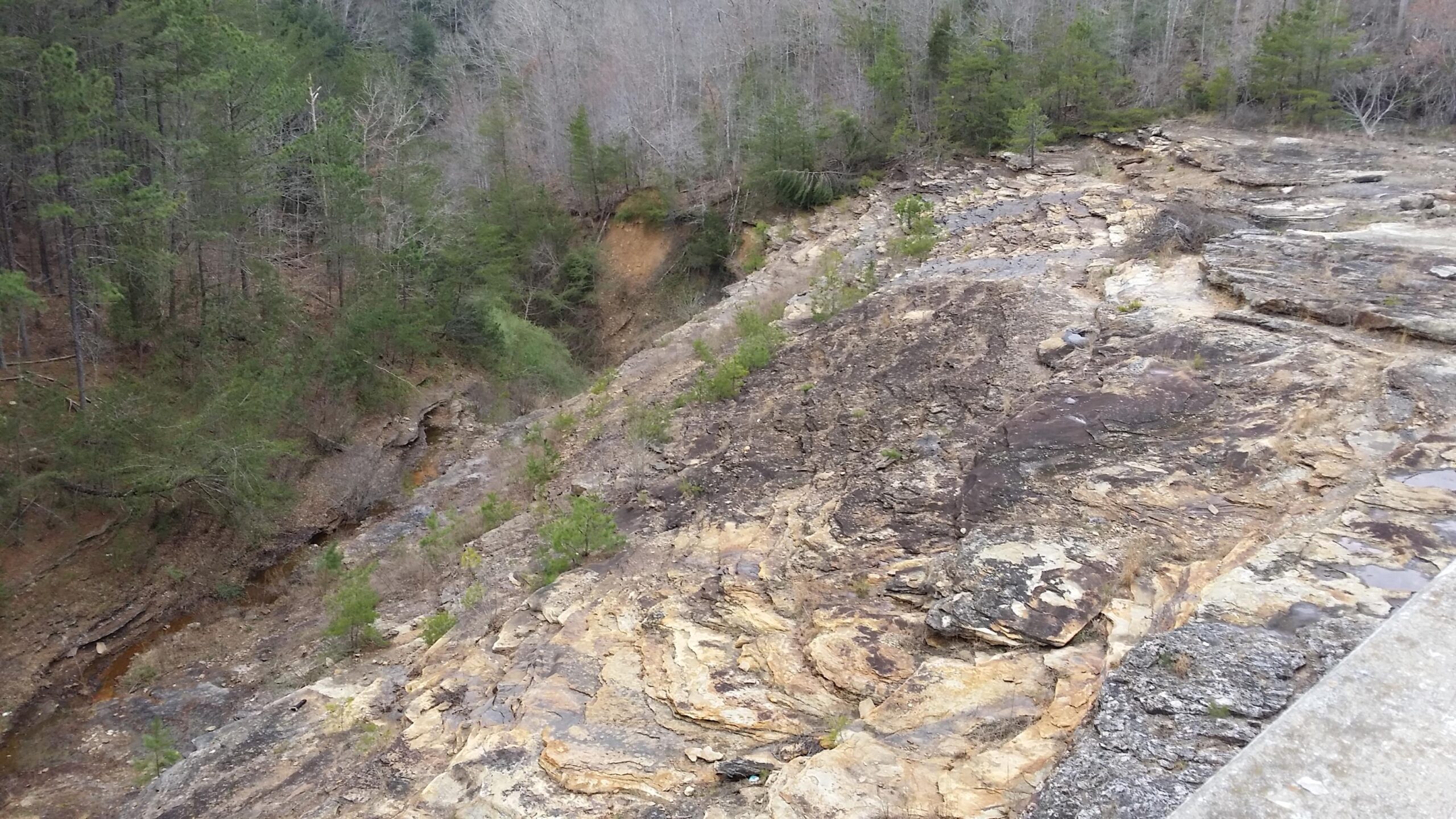 Aerial view of a rocky landscape with a gentle slope leading to a forested area. The foreground features layers of exposed rock, while the background has a mix of evergreen and deciduous trees, indicating a natural environment. Sheltowee Trace - Laurel Lake Trail mountain bike trail.