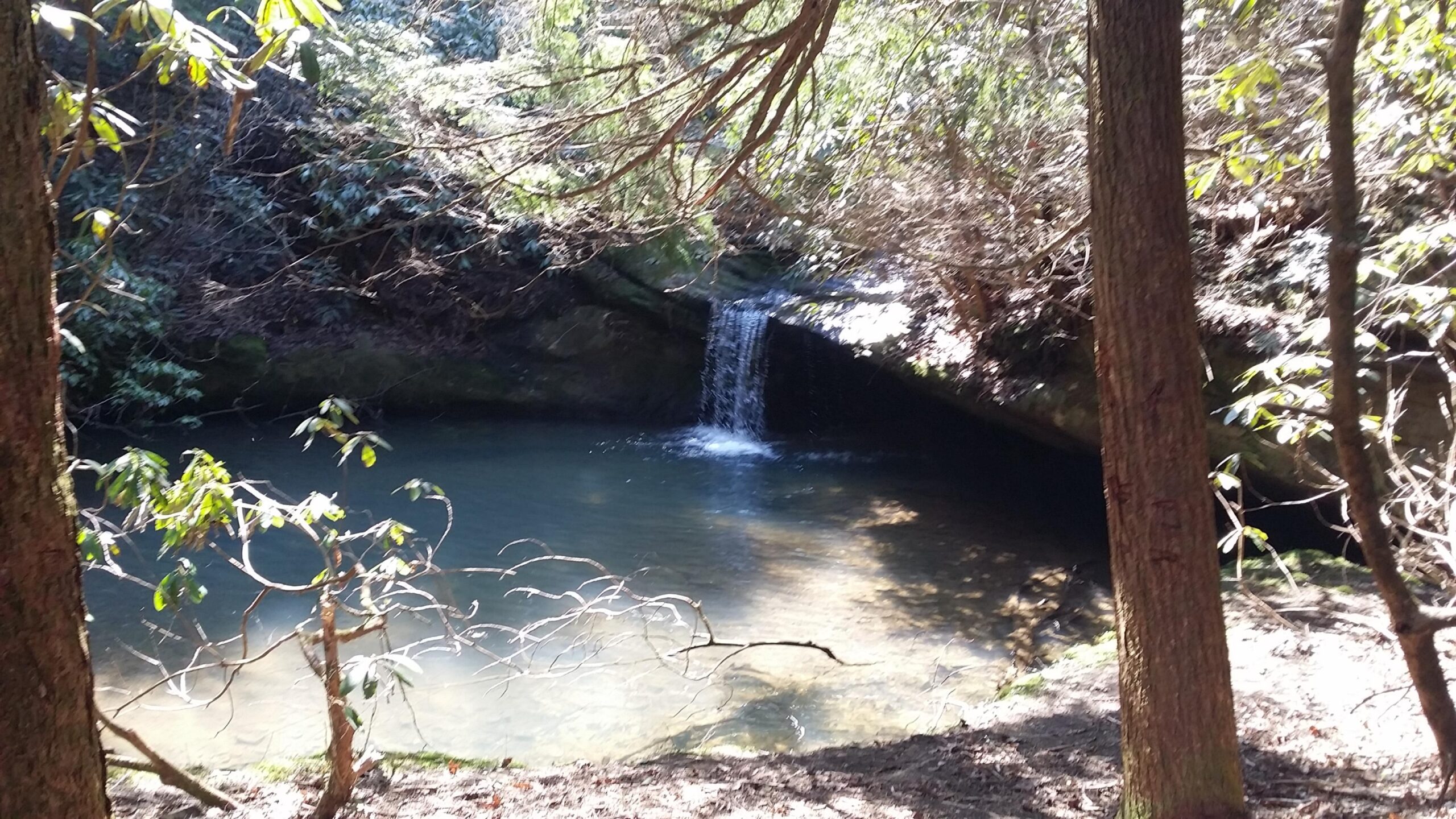A serene forest scene featuring a small waterfall cascading into a calm pool, surrounded by lush greenery and trees. Sunlight filters through the foliage, creating dappled light on the water's surface. Cane Creek (sheltowee Trace Trail) mountain bike trail.