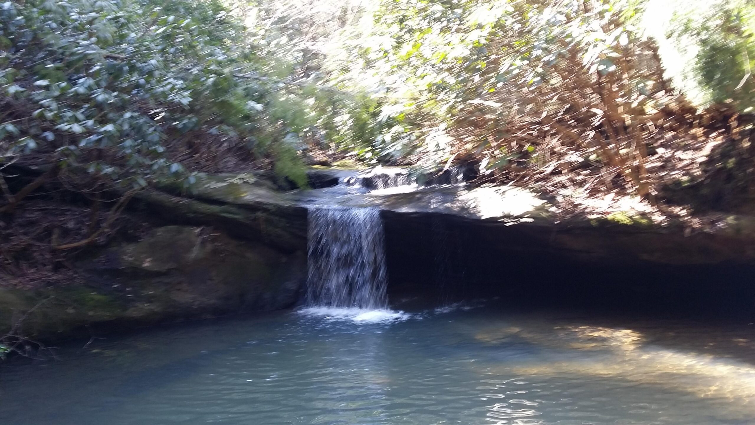 A serene natural setting featuring a small waterfall cascading over rocks into a clear pool of water, surrounded by lush greenery and dense foliage. Cane Creek (sheltowee Trace Trail) mountain bike trail.