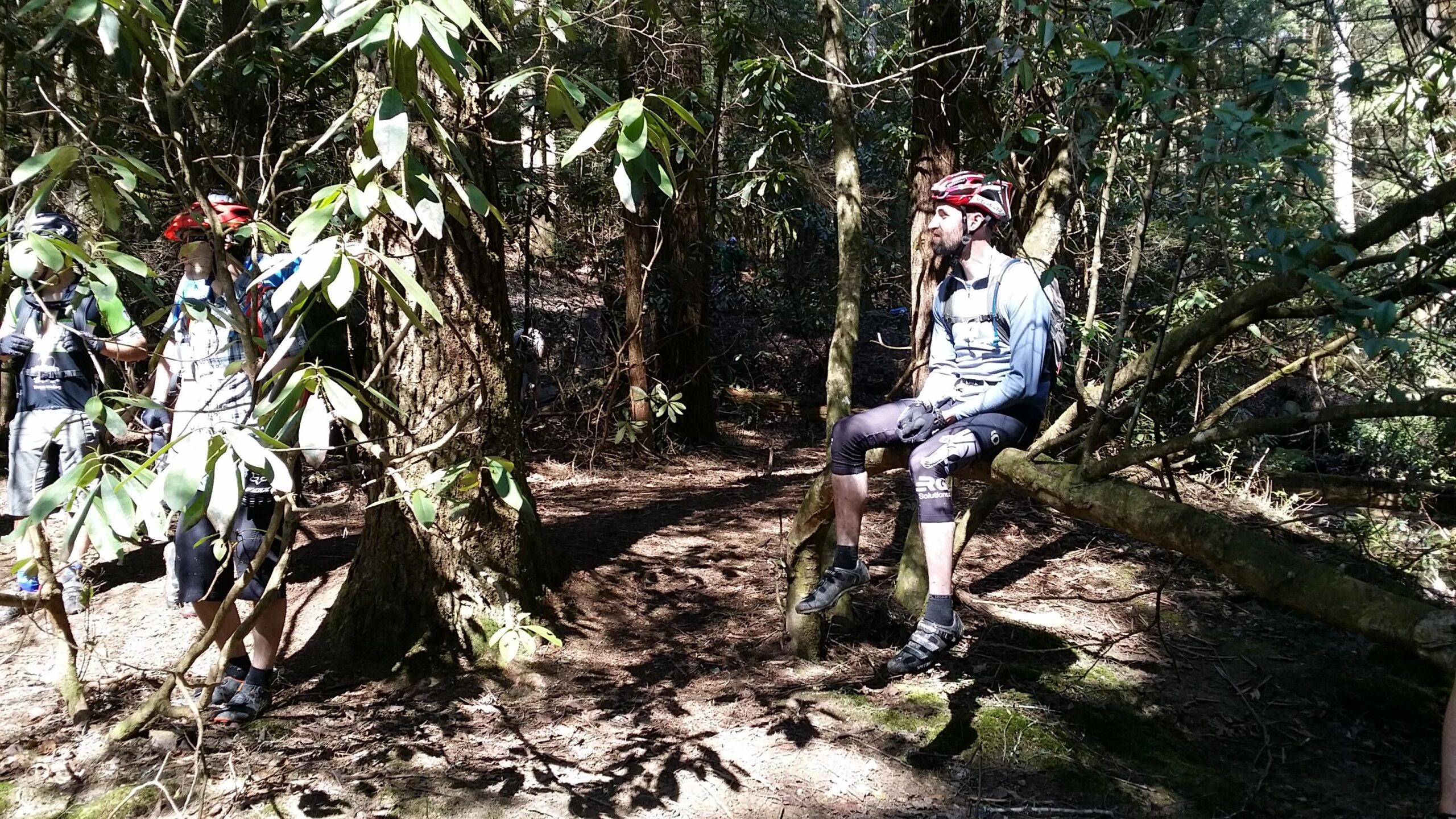 A group of mountain bikers pauses in a sunlit forest. One biker sits on a low tree branch, while two others stand nearby, partially obscured by surrounding greenery. The scene captures the tranquility of nature with dappled sunlight filtering through the leaves. Cane Creek (sheltowee Trace Trail) mountain bike trail.