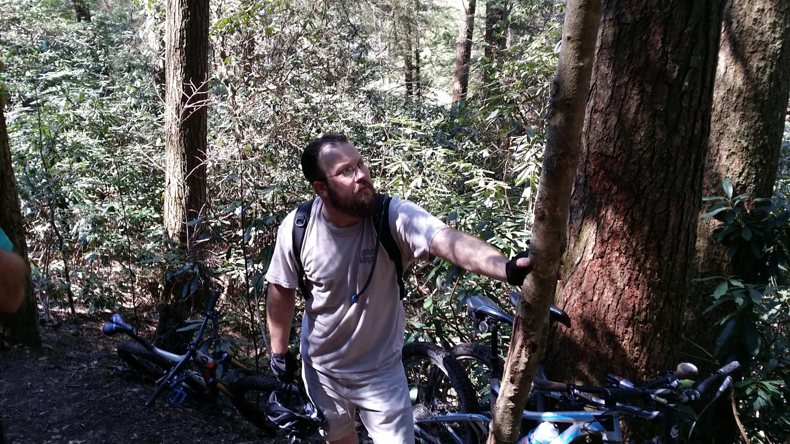 A man with a beard and glasses stands in a lush forest, reaching out to touch a tree trunk. He is wearing a light-colored shirt, shorts, and gloves, with a backpack slung over one shoulder. Mountain bikes are visible in the background, partially obscured by the dense vegetation. Sunlight filters through the trees, creating a dappled effect on the ground. Cane Creek (sheltowee Trace Trail) mountain bike trail.