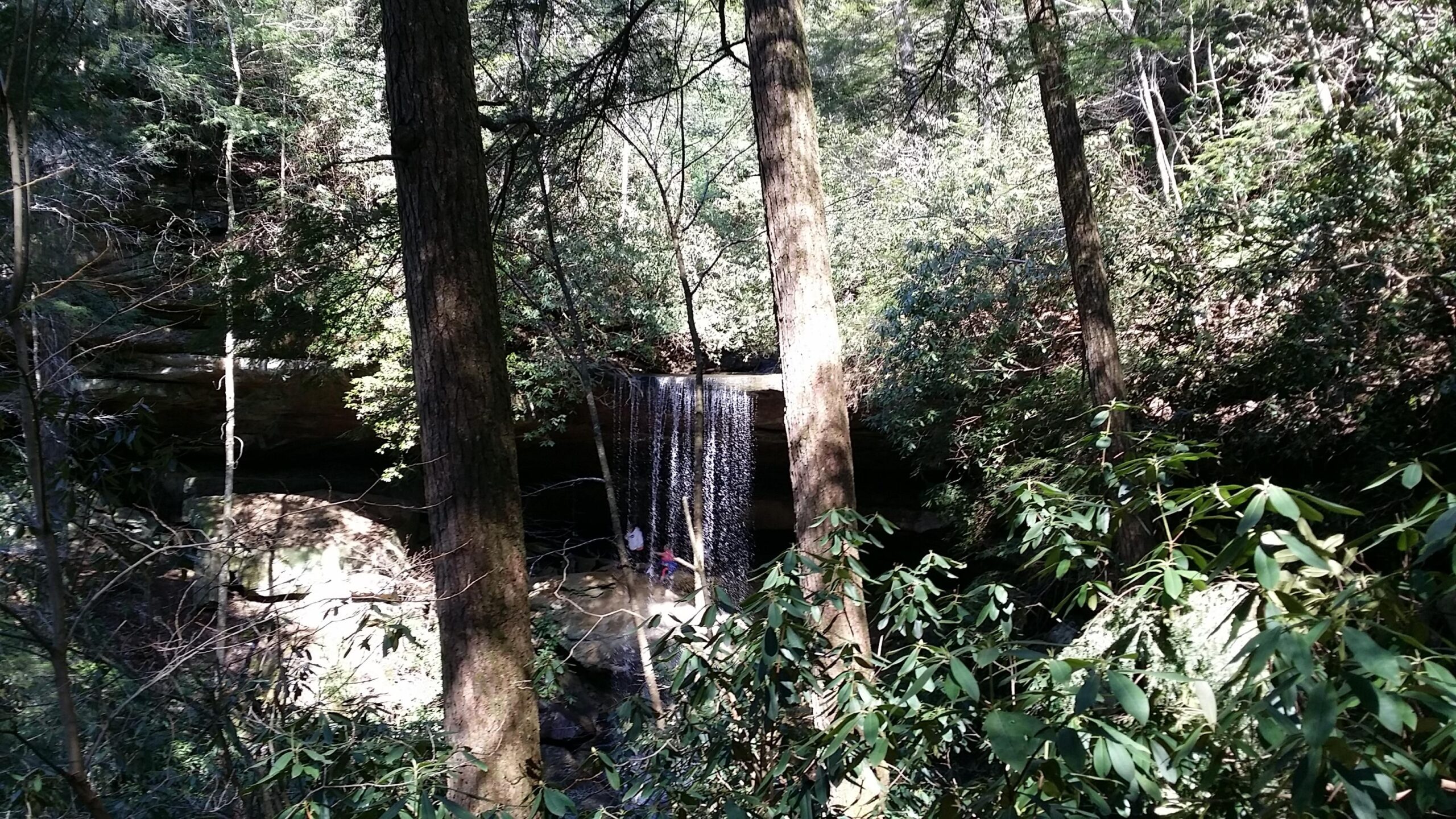 A serene forest scene featuring a waterfall cascading down a rocky ledge, surrounded by tall trees and lush greenery. In the foreground, vibrant foliage frames the view, and a couple of figures can be seen near the base of the waterfall, enjoying the natural beauty. Sunlight filters through the branches, creating a tranquil atmosphere. Cane Creek (sheltowee Trace Trail) mountain bike trail.