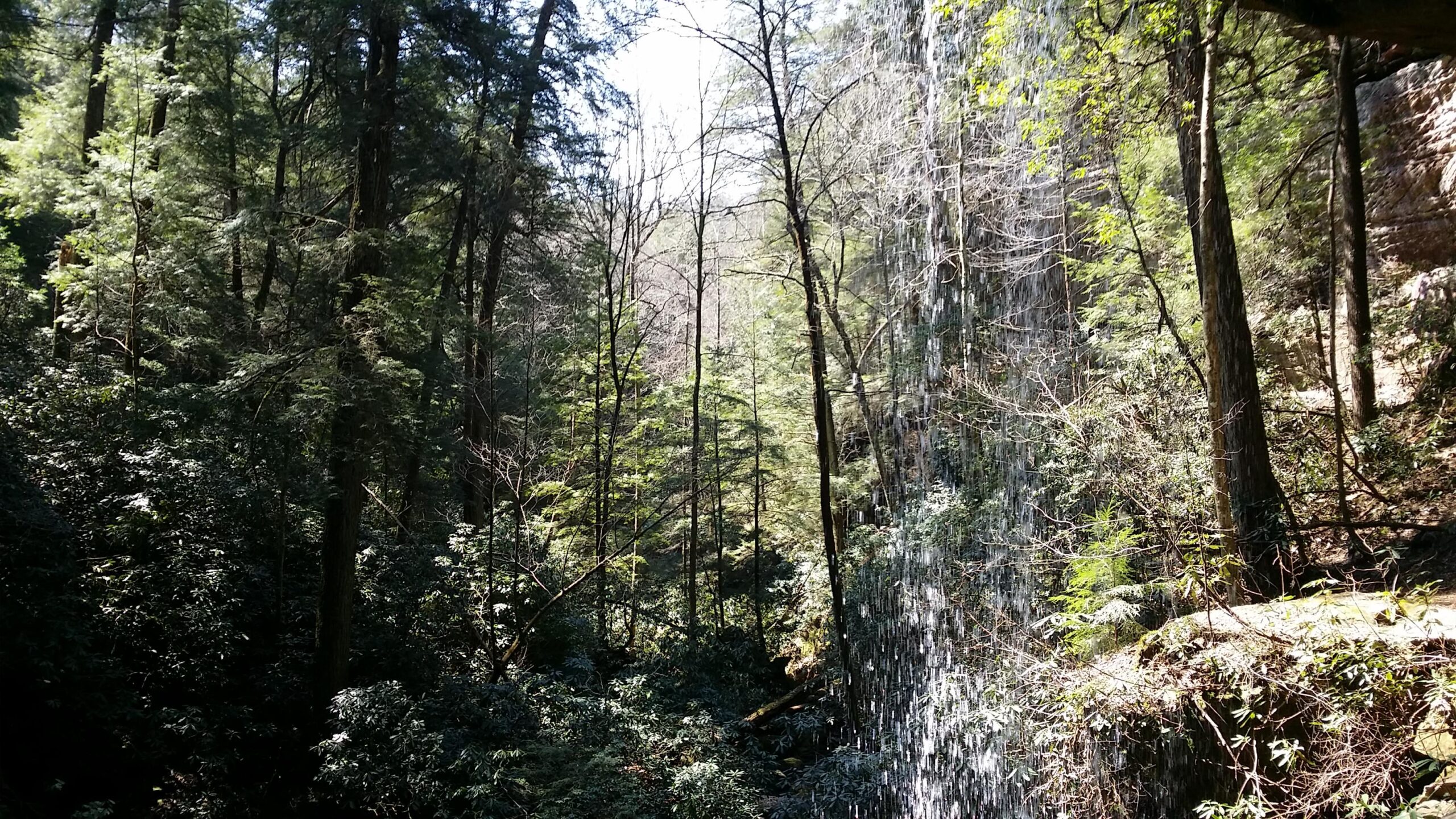 A serene forest scene showcasing a waterfall cascading down rocky terrain, surrounded by lush green trees and dense vegetation. Sunlight filters through the branches, illuminating the landscape with a warm glow. The atmosphere appears peaceful and tranquil, inviting viewers to appreciate the beauty of nature. Cane Creek (sheltowee Trace Trail) mountain bike trail.