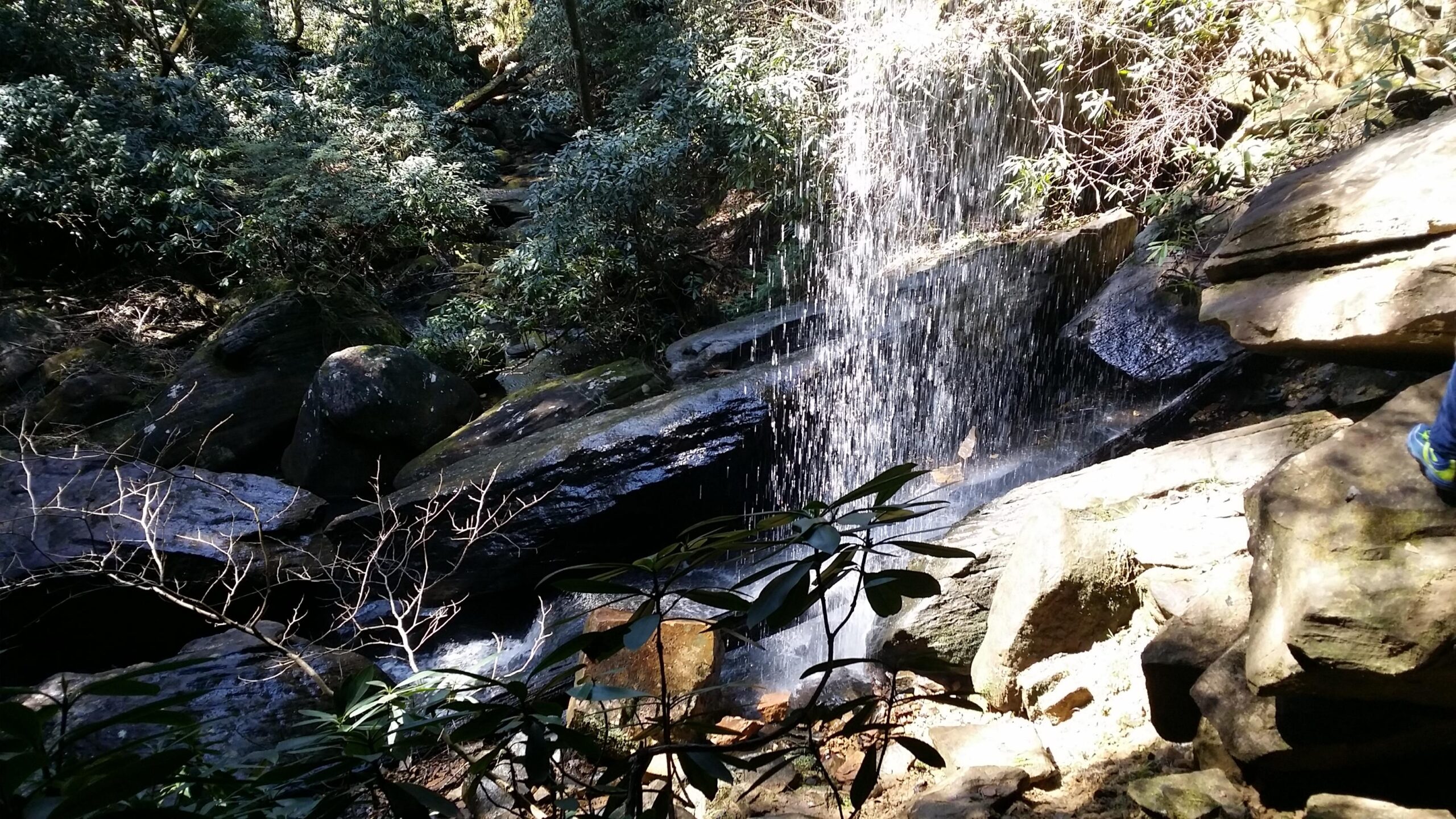 A small waterfall cascading over rocky terrain, surrounded by lush greenery and sunlight filtering through trees. The foreground features dark rocks and sparse branches, while water splashes down into a pool below. Cane Creek (sheltowee Trace Trail) mountain bike trail.