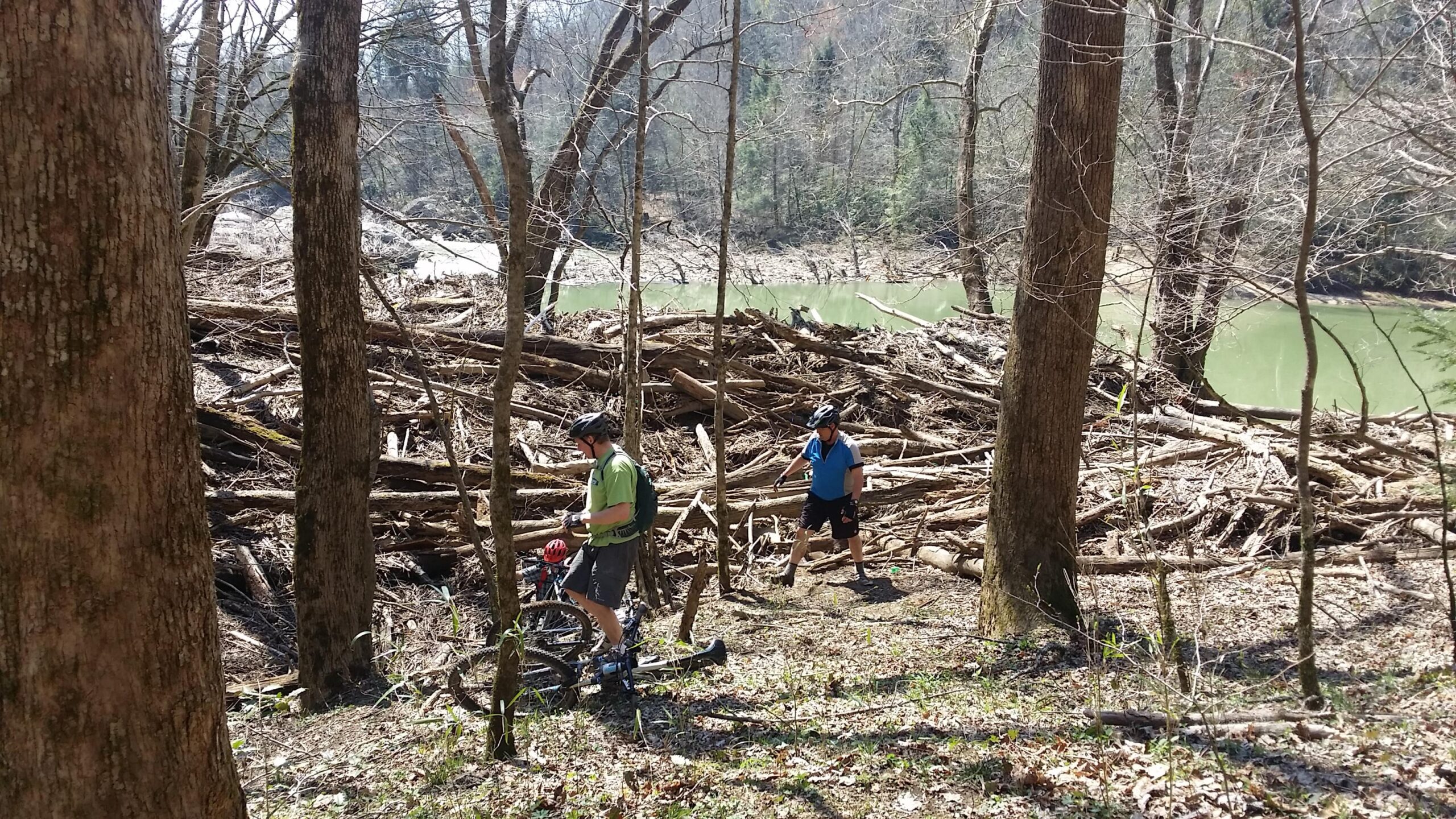 Two men are seen in a wooded area near a river, surrounded by trees and a large pile of fallen branches and debris. One man, wearing a green shirt and a helmet, is standing beside a mountain bike. The other man, dressed in a blue shirt, is walking nearby, looking towards the ground. The scene is set during a sunny day, with a greenish body of water visible in the background. Cane Creek (sheltowee Trace Trail) mountain bike trail.