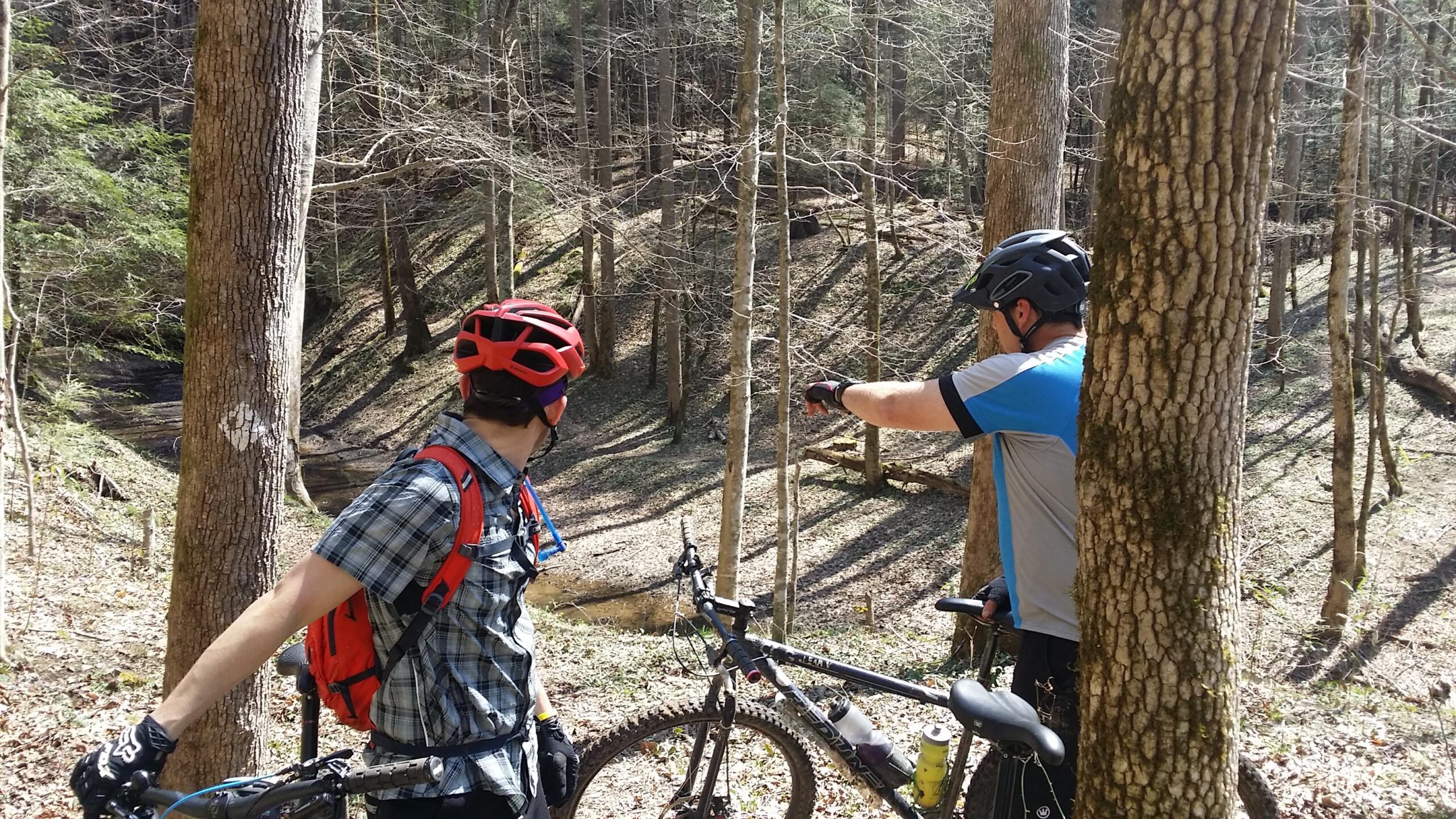 Two mountain bikers standing near their bikes on a forested trail, one pointing towards a distant area while the other looks on. The scene captures the natural beauty of the woods with trees and a small stream in the background. Both bikers are wearing helmets, and one has a red backpack. Cane Creek (sheltowee Trace Trail) mountain bike trail.