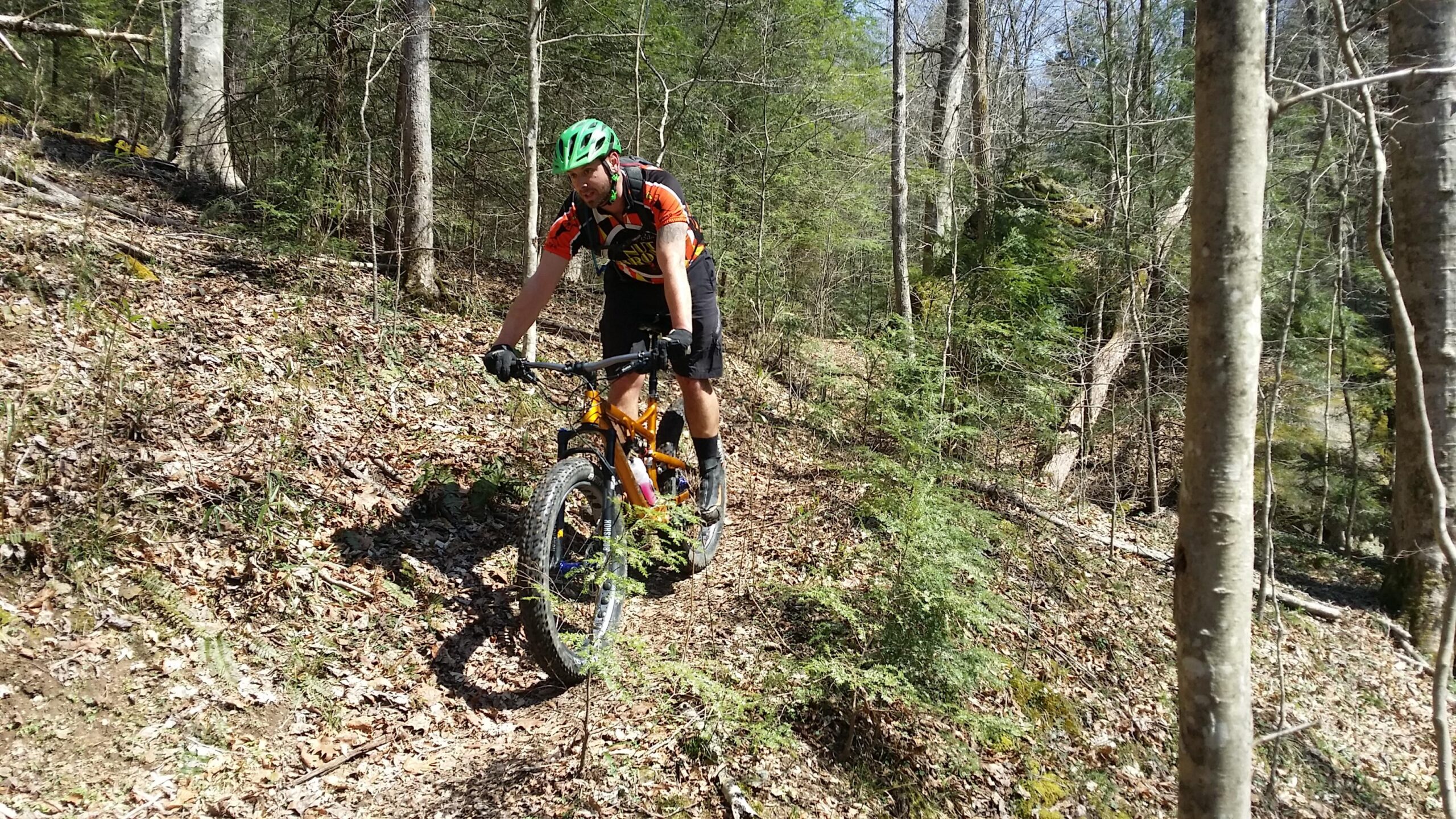 A mountain biker navigates a dirt trail surrounded by trees and foliage. The cyclist is wearing a green helmet and a orange and black jersey, focused on riding the trail. Sunlight filters through the trees, highlighting the natural setting. Cane Creek (sheltowee Trace Trail) mountain bike trail.