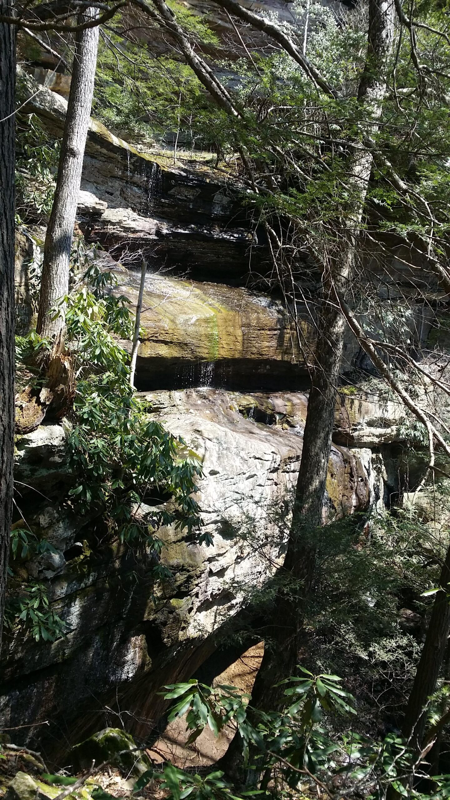 A serene forest scene featuring a waterfall cascading over layered rock formations surrounded by lush greenery. Sunlight filters through the trees, illuminating the textures of the rocks and foliage. Cane Creek (sheltowee Trace Trail) mountain bike trail.