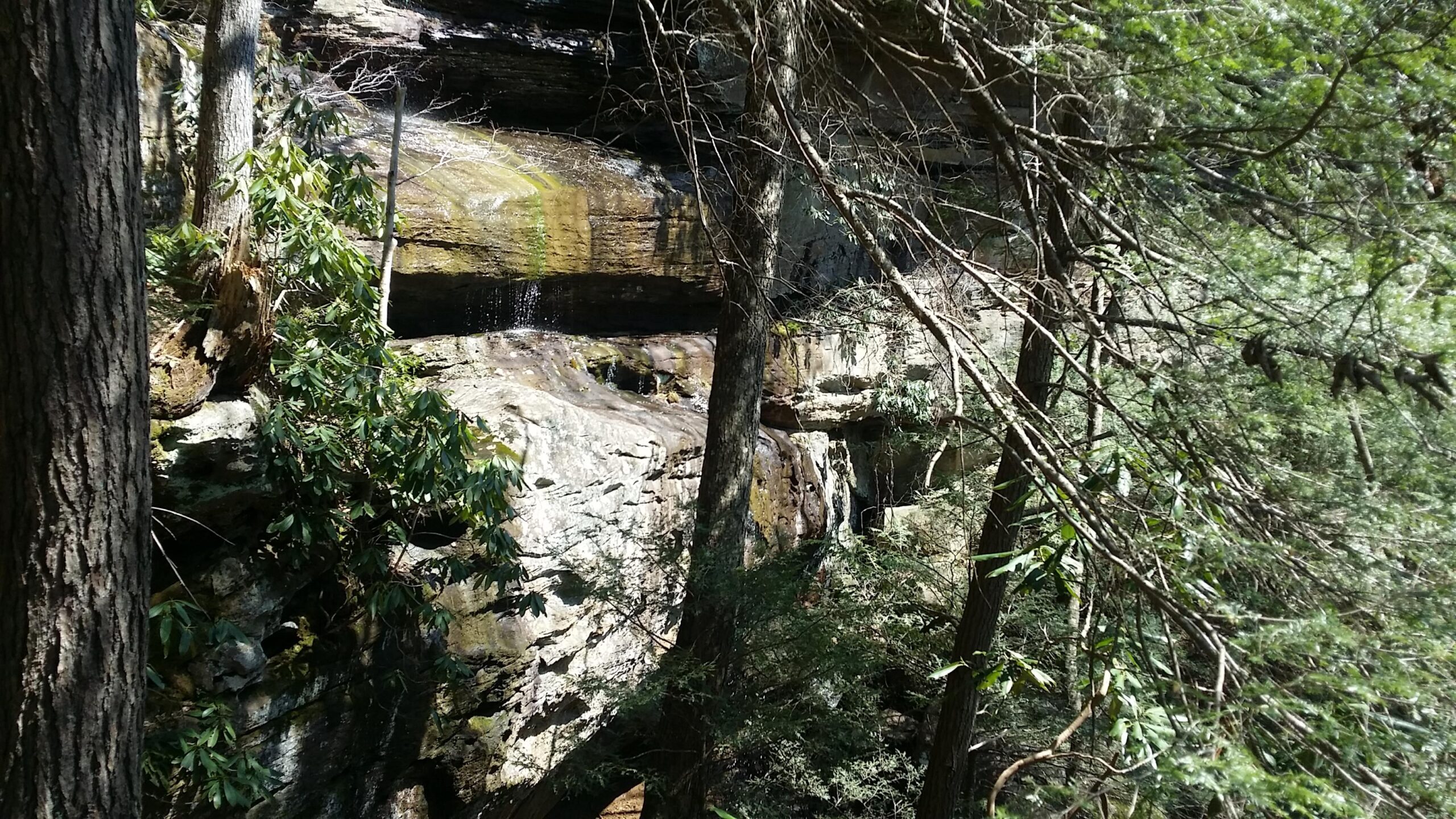A stone cliff surrounded by lush greenery, featuring a small waterfall trickling down the rocks, with sunlight filtering through the trees. Cane Creek (sheltowee Trace Trail) mountain bike trail.