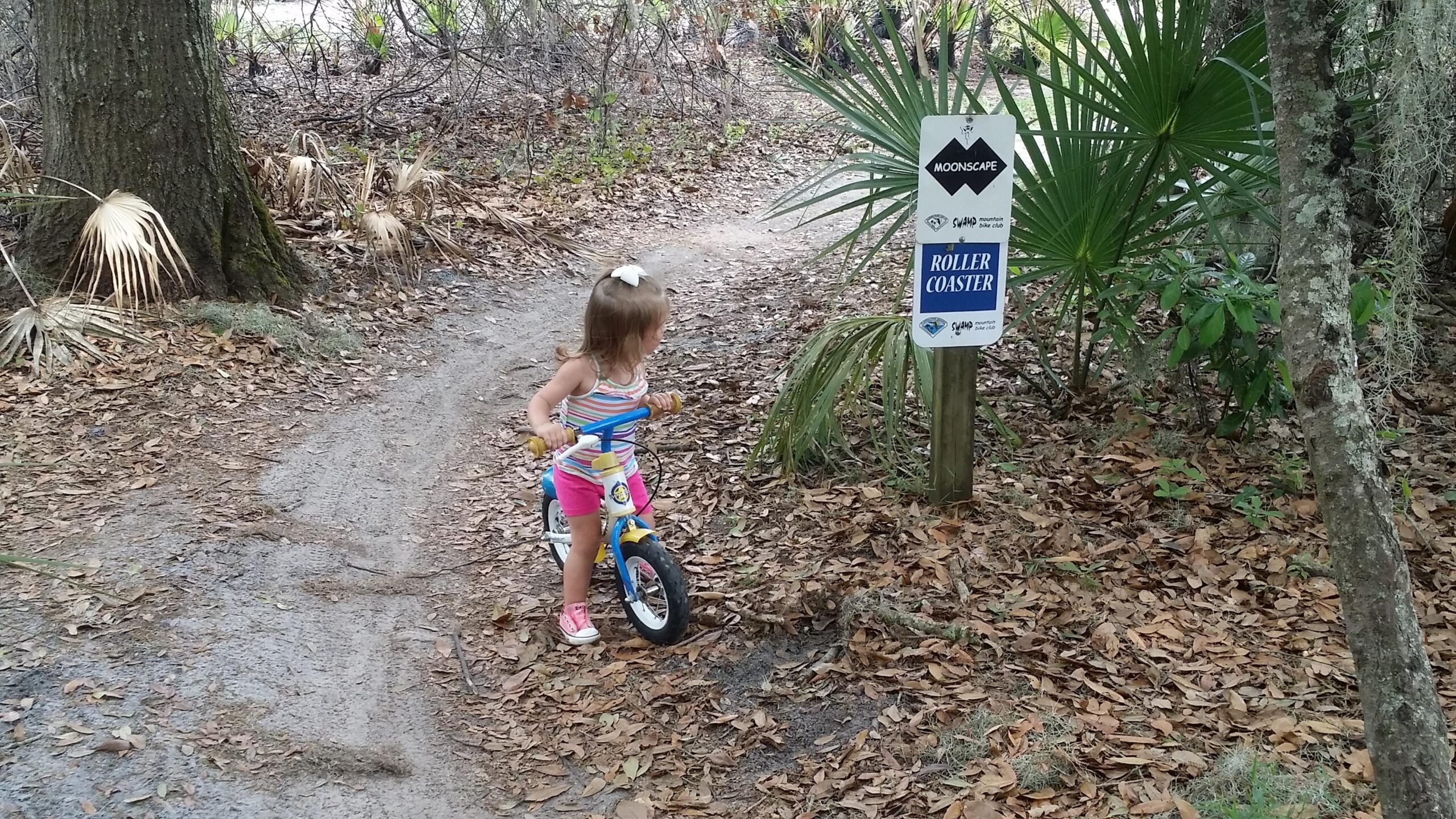 A young child wearing a striped shirt and pink shorts stands next to a sign labeled "ROLLER COASTER" along a dirt path in a wooded area. The child is looking towards the sign while holding onto a small balance bike. Surrounding the scene are various plants and fallen leaves, creating a natural setting. Alafia River State Park mountain bike trail.