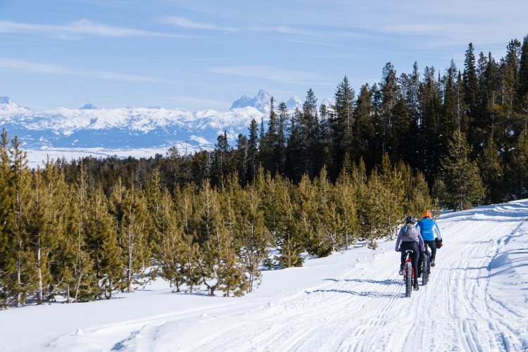 Two cyclists ride on a snowy path in a forest, surrounded by coniferous trees, with snow-capped mountains visible in the background under a clear blue sky.