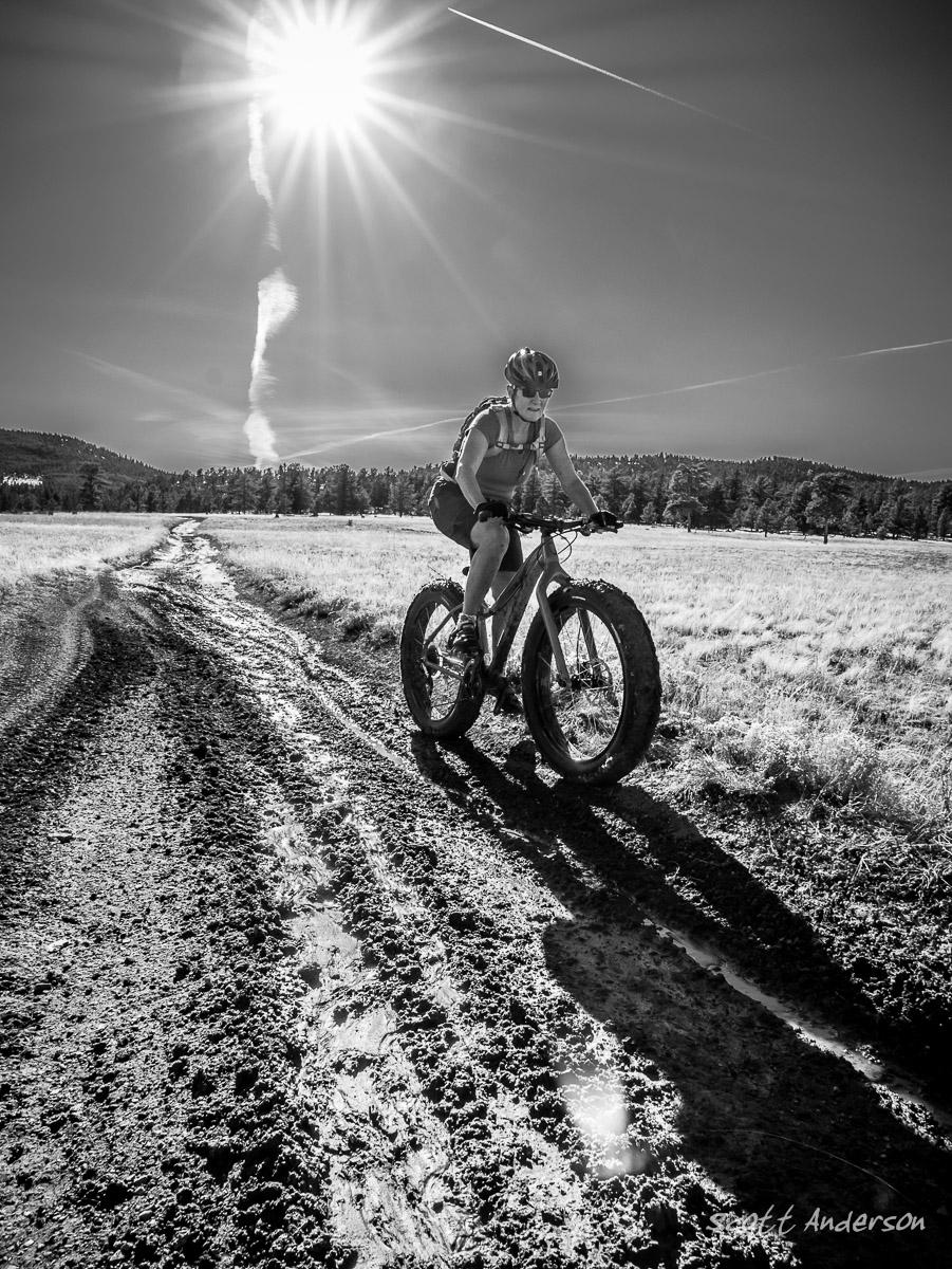 A cyclist riding a fat bike on a muddy dirt road, illuminated by bright sunlight against a clear sky. The scene is depicted in black and white, highlighting the contrast between the cyclist, the trail, and the surrounding landscape of trees and fields. Lenhardy Cutoff Road / #376 mountain bike trail.