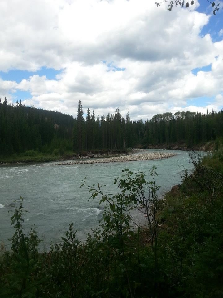 A serene river winding through a lush green landscape, surrounded by tall evergreen trees under a partly cloudy sky. The water is a light blue-green color, and smooth stones line the riverbank. Snake Indian Falls mountain bike trail.