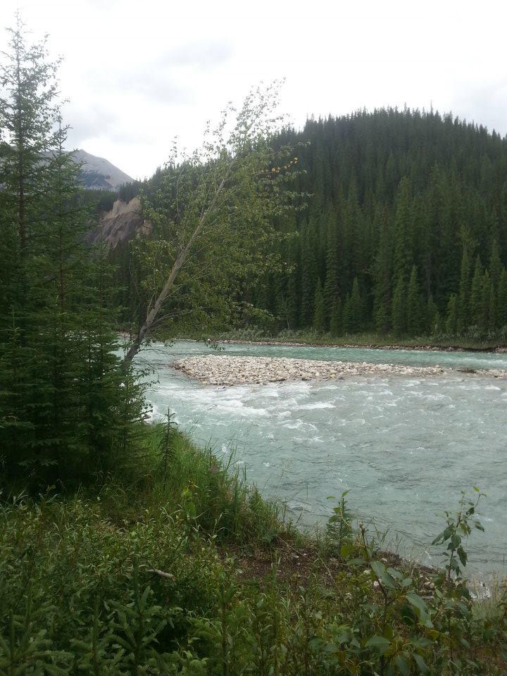 A serene riverside scene featuring a flowing turquoise river surrounded by lush green trees and mountains in the distance. The foreground includes a rocky island in the river and various plants along the riverbank under a partly cloudy sky. Snake Indian Falls mountain bike trail.