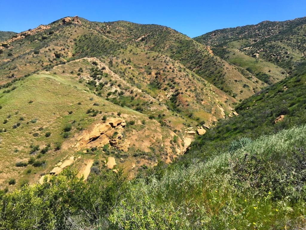 A panoramic view of rolling green hills and rocky outcrops under a clear blue sky, showcasing a mountainous landscape with varying textures of grass and shrubs. Chumash mountain bike trail.