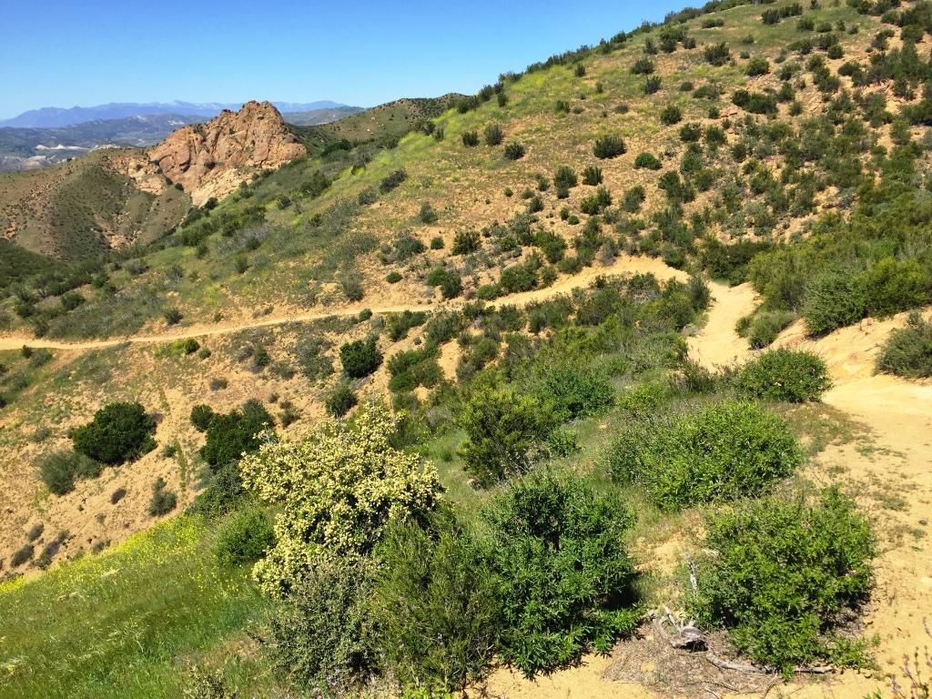 A scenic view of a rolling hillside landscape with patches of shrubbery and rocky elevations, under a clear blue sky. A dirt trail winds through the terrain, leading into the distance where more hills and mountains can be seen. Chumash mountain bike trail.
