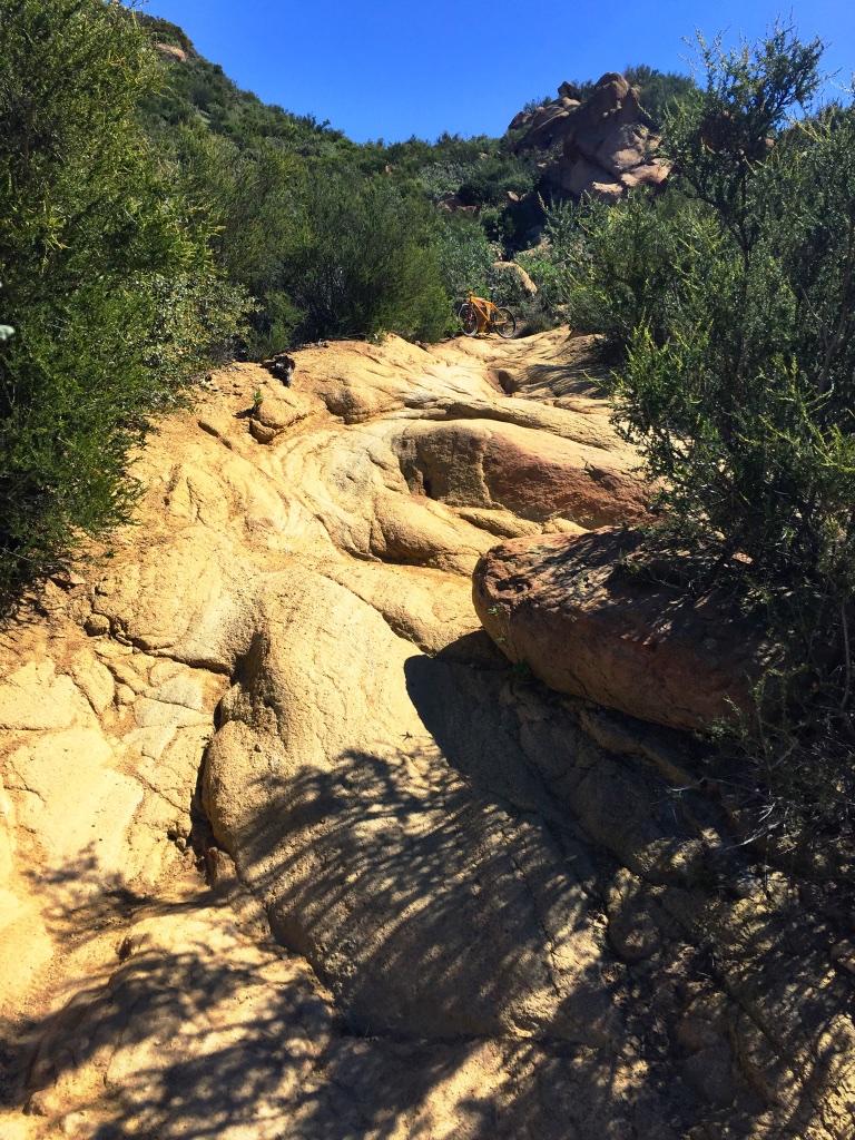Rocky hiking trail surrounded by green bushes and shrubs, with sunlit rocks and a clear blue sky in the background. Chumash mountain bike trail.