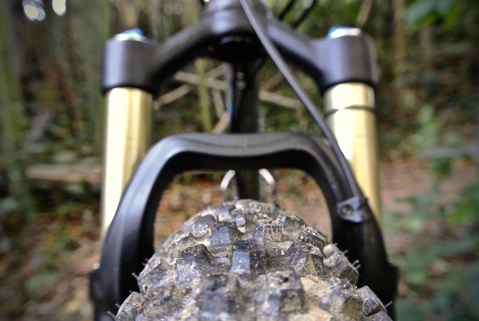 Marin Pine Mountain 2 27.5: Close-up view of a mountain bike tire and front suspension in a wooded setting, highlighting the tire tread and shiny gold suspension forks. The background features blurred green foliage, indicating a natural outdoor environment.