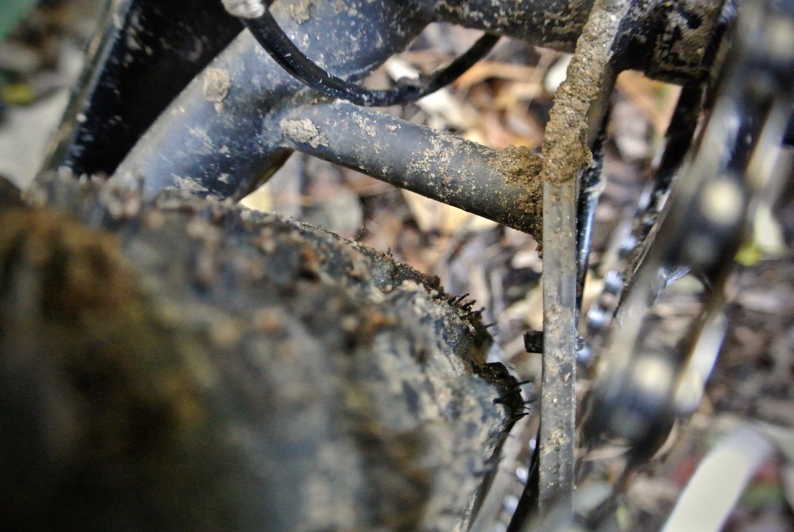 Marin Pine Mountain 2 27.5: Close-up image of a muddy bike chain and frame, showcasing dirt accumulation on metal parts, with blurred background elements of foliage and soil.