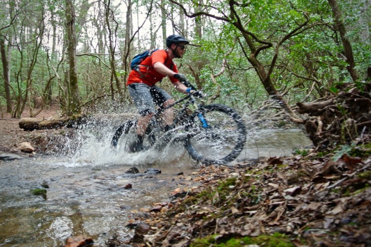 A mountain biker rides through a shallow stream, creating splashes of water while navigating a wooded trail. The rider wears a helmet and is dressed in a red shirt and gray shorts, surrounded by green foliage and trees.
