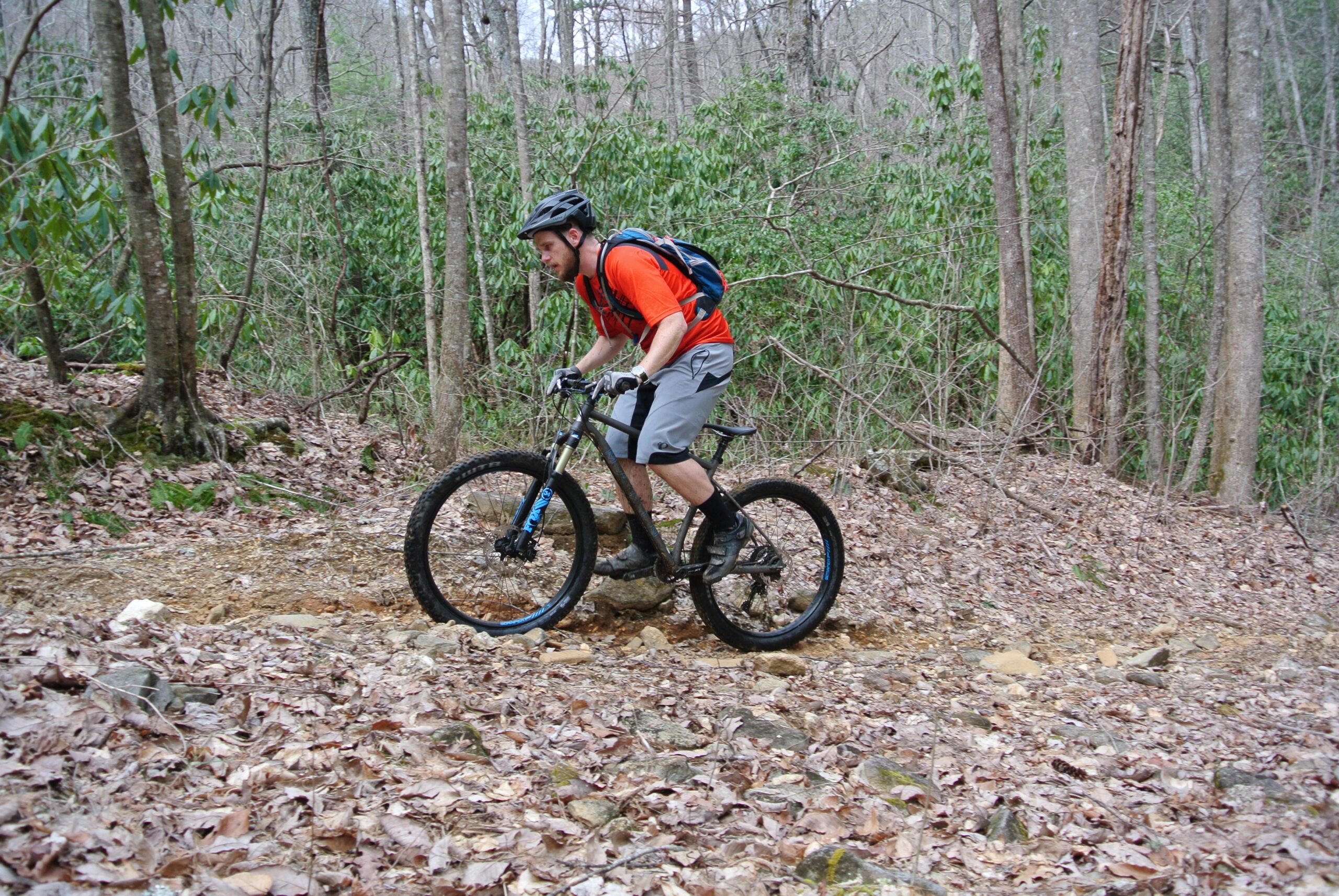 Marin Pine Mountain 2 27.5: A person riding a mountain bike on a rocky trail in a forested area, surrounded by trees and fallen leaves. The cyclist is wearing a helmet, an orange shirt, and gray shorts, and is actively navigating the terrain.