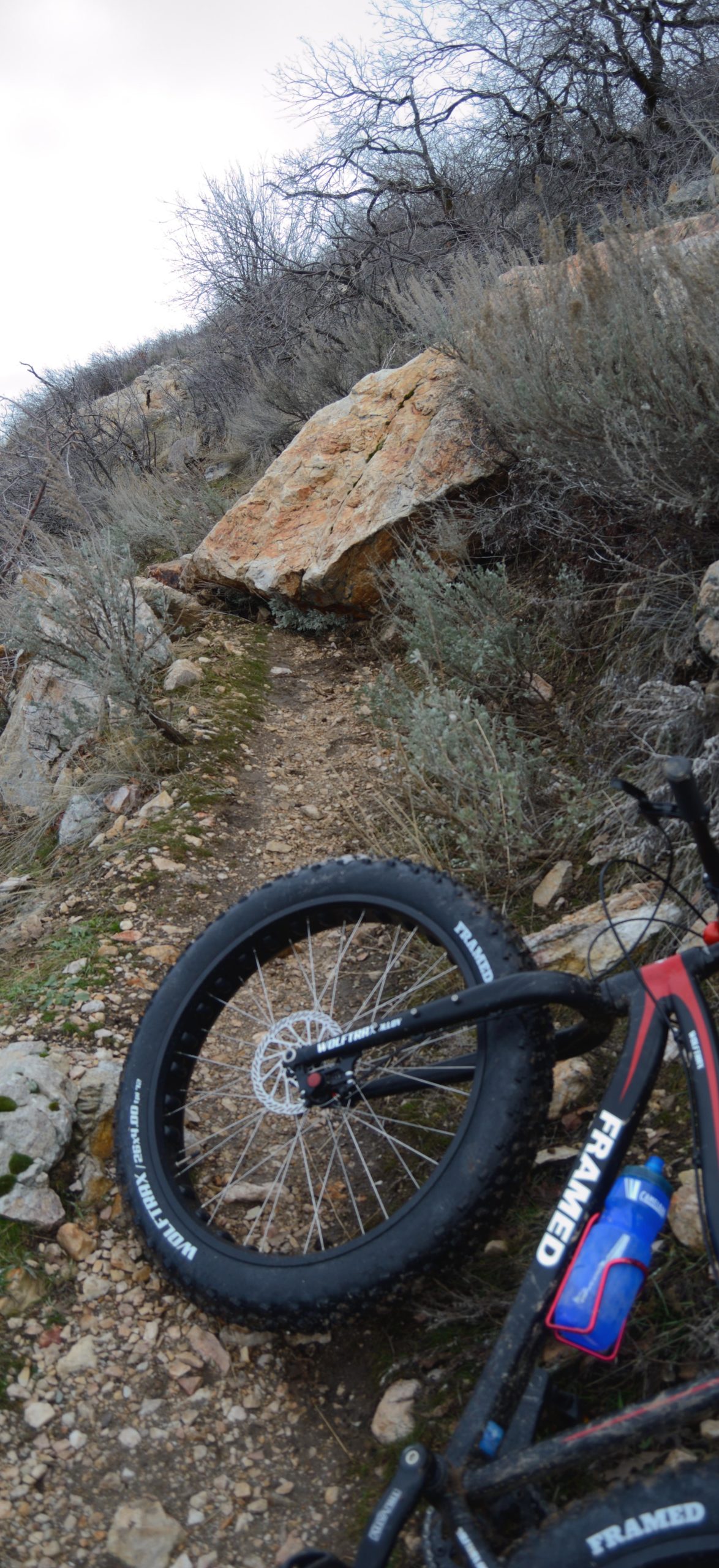 A close-up view of a mountain bike resting on a rocky trail, with a large boulder in the background. The bike features thick tires suitable for rough terrain, and a water bottle is attached to its frame. Surrounding the trail are sparse bushes and bare trees, suggesting a rugged outdoor environment. The sky above is cloudy, indicating possibly overcast weather. Bonneville Shoreline Trail - Ogden Section mountain bike trail.