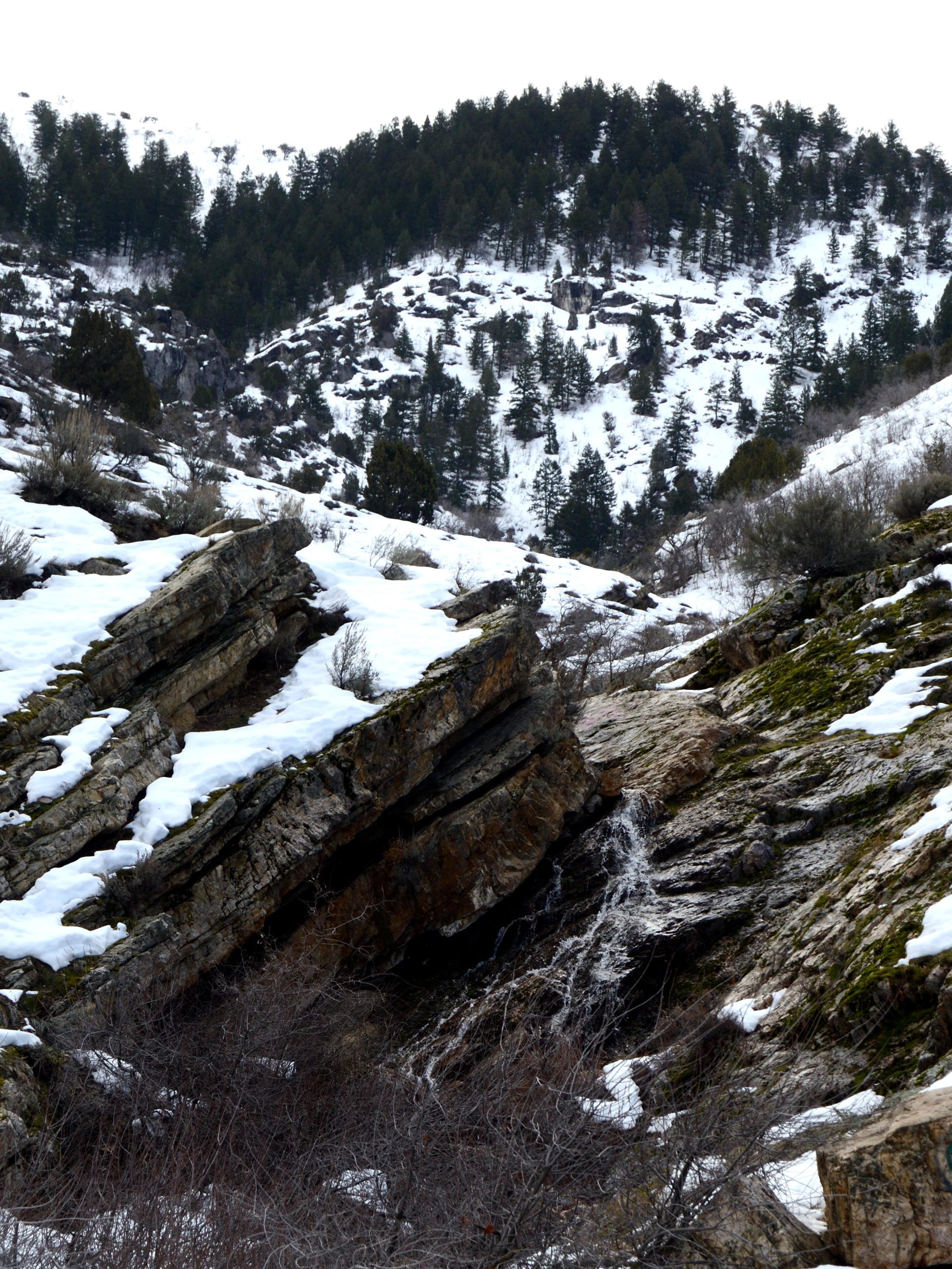 A scenic view of a mountainous landscape covered in snow, featuring rocky terrain, patches of evergreen trees, and a small waterfall cascading down the rugged rocks. The scene is set against a cloudy sky, creating a serene winter atmosphere. Bonneville Shoreline Trail - Ogden Section mountain bike trail.