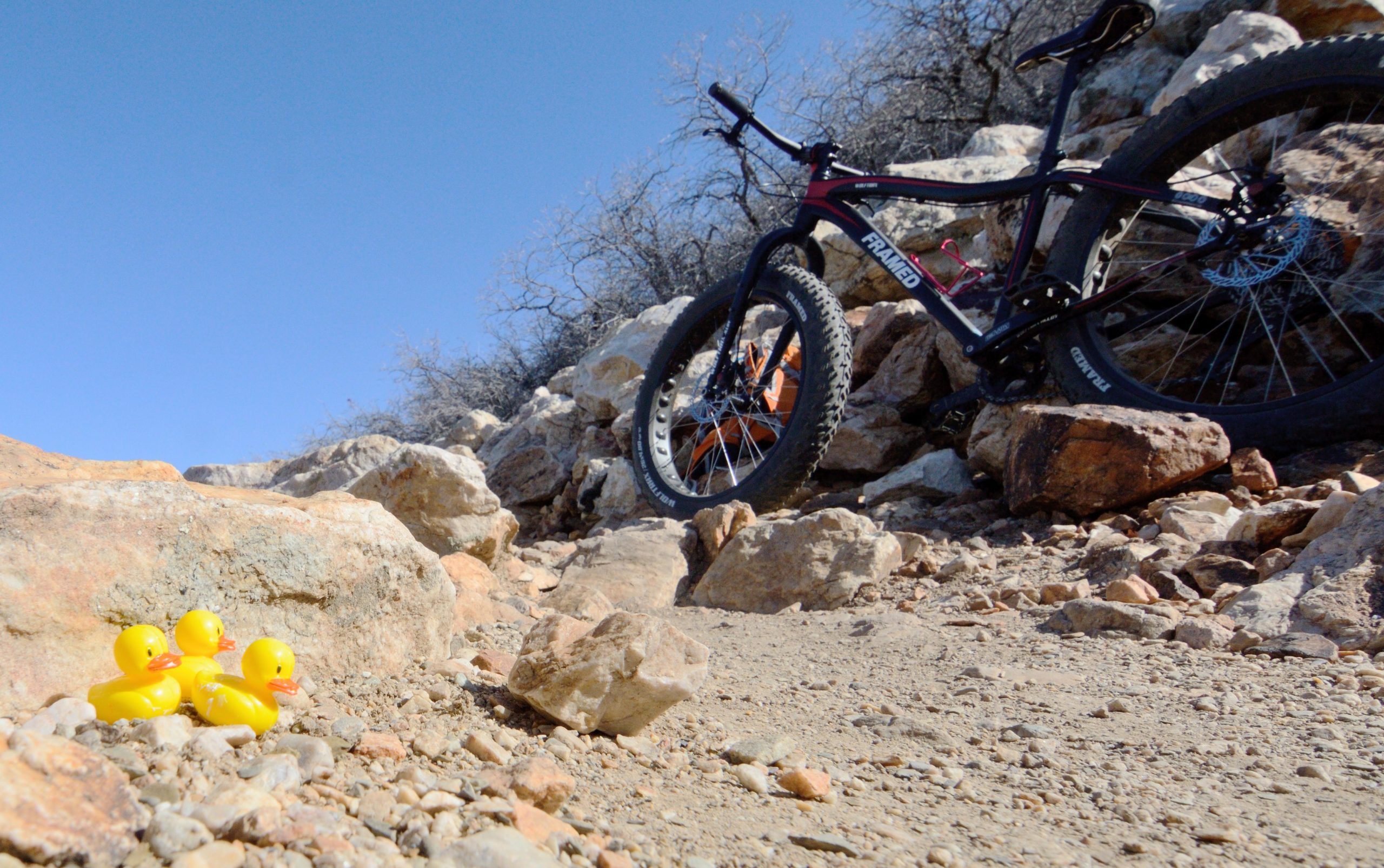 A fat-tire mountain bike rests on rocky terrain, alongside three bright yellow rubber ducks nestled among the stones. The background features a clear blue sky and sparse trees, emphasizing the outdoor setting. Bonneville Shoreline Trail - Ogden Section mountain bike trail.