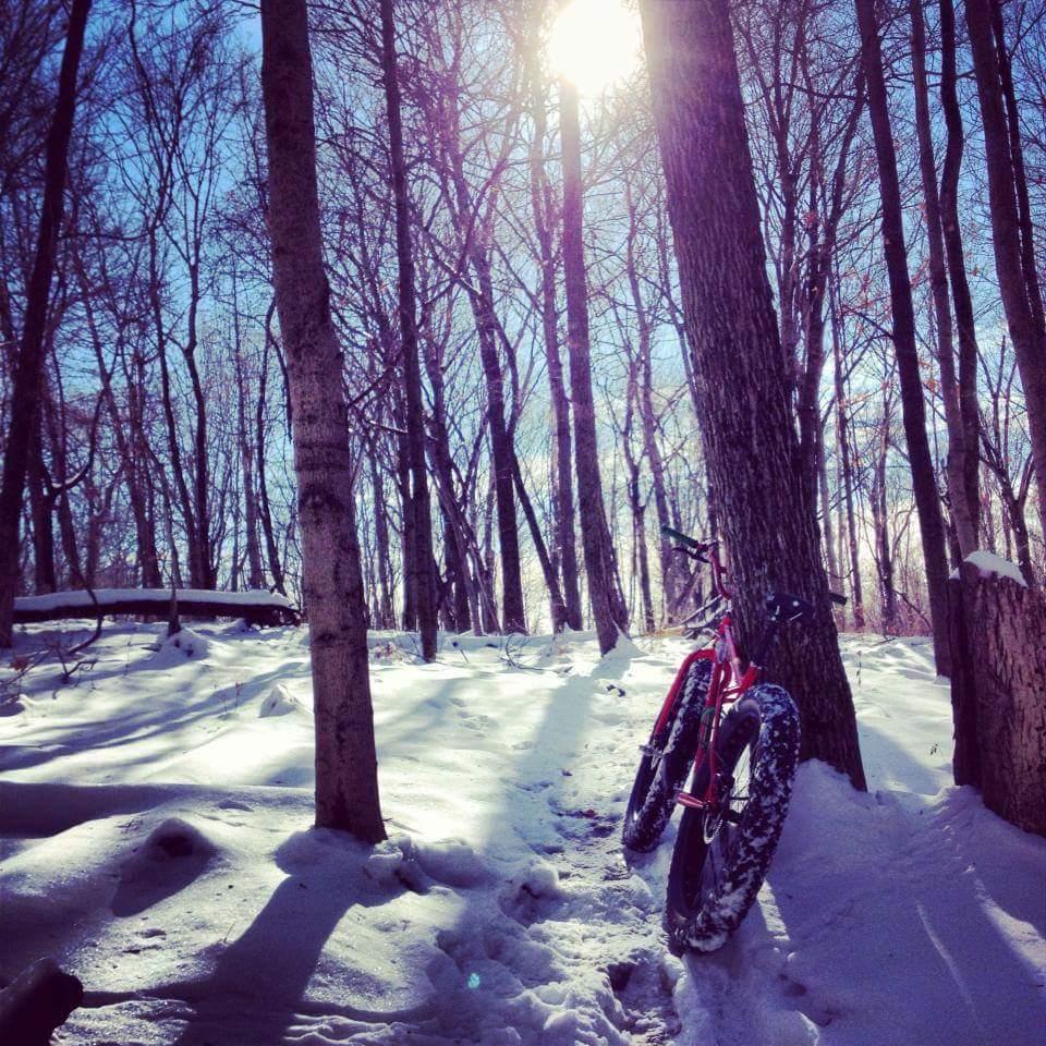 A red fat bike leaning against a tree in a snow-covered forest, with tall bare trees and sunlight shining through the branches. Shadowed paths of snow lead into the woods. Mitchell Memorial Forest Mountain Bike Trail mountain bike trail.