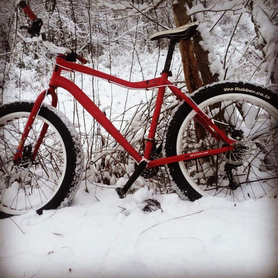 A red mountain bike mounted against a tree, partially covered in snow, with white tires in a snowy winter landscape. The background features snow-covered trees and sparse vegetation. Mitchell Memorial Forest Mountain Bike Trail mountain bike trail.