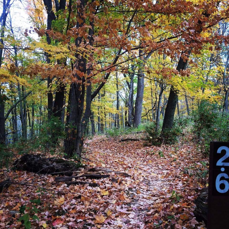 A wooded path covered in colorful autumn leaves, framed by trees with yellow and orange foliage. A sign with the number "26" is visible on the right side of the image. Mitchell Memorial Forest Mountain Bike Trail mountain bike trail.