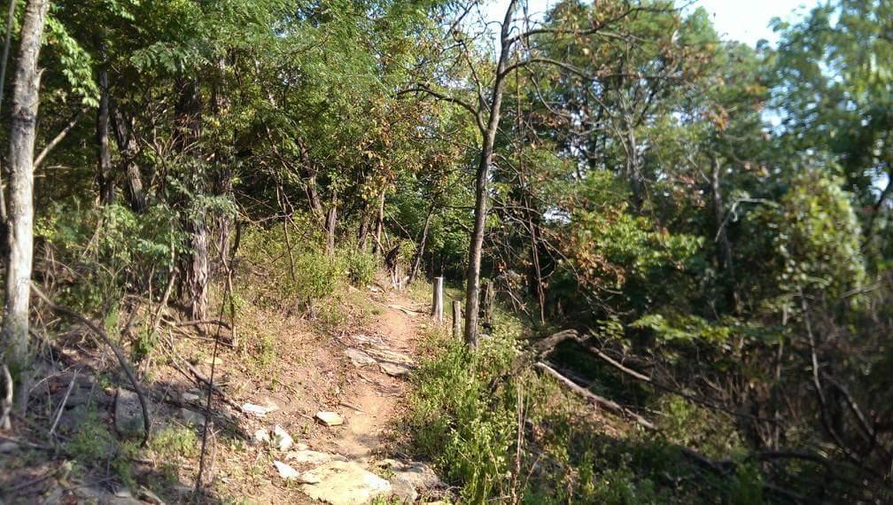 A narrow dirt path winding through a wooded area, flanked by trees and shrubs, with some rocky sections visible along the trail. Sunlight filters through the leaves, casting a warm glow on the surroundings. Mitchell Memorial Forest Mountain Bike Trail mountain bike trail.