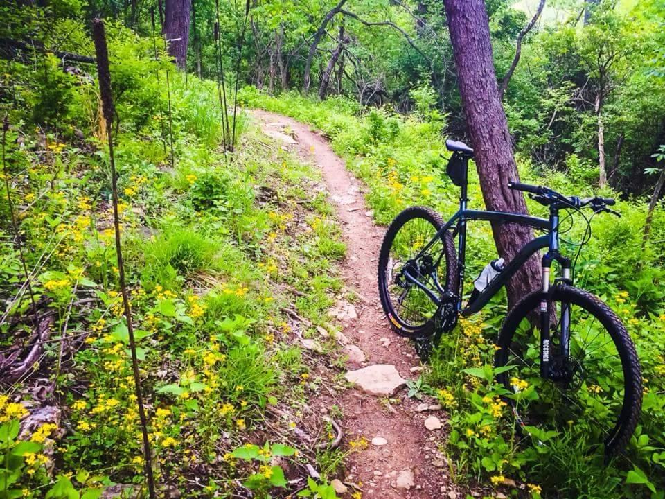 A mountain bike resting on a dirt trail surrounded by lush greenery and wildflowers in a forested area. The path winds through the trees, showcasing a natural, tranquil setting perfect for outdoor biking. Mitchell Memorial Forest Mountain Bike Trail mountain bike trail.