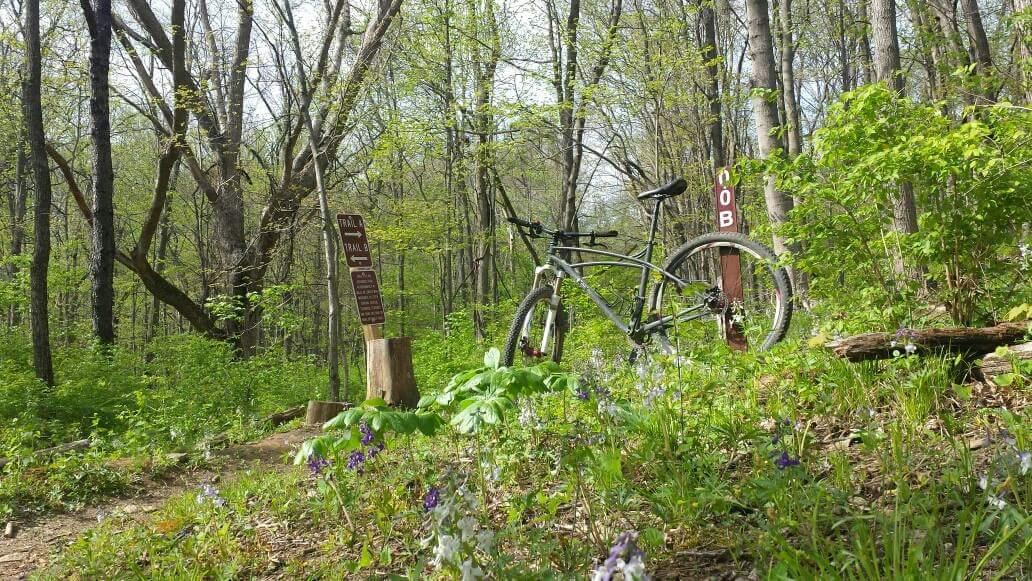 A mountain bike is parked beside a trail sign in a lush, green wooded area, surrounded by blooming wildflowers. The background features tall trees with fresh spring leaves. Mitchell Memorial Forest Mountain Bike Trail mountain bike trail.