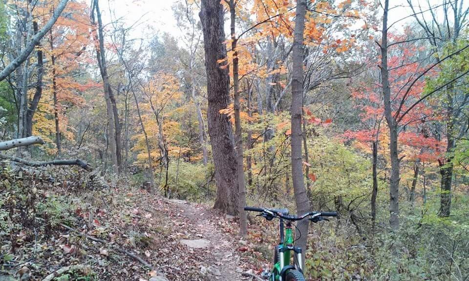 A scenic view of a wooded trail during autumn, featuring vibrant orange and yellow leaves on the trees. A green mountain bike is positioned in the foreground, leaning against the path that winds through the colorful foliage. Mitchell Memorial Forest Mountain Bike Trail mountain bike trail.