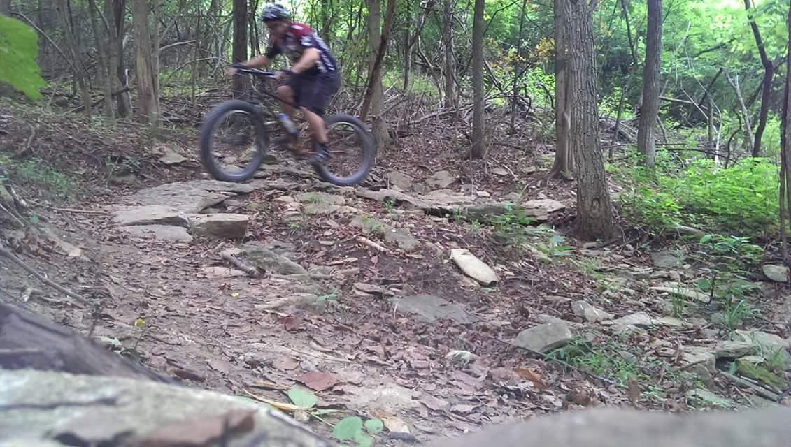 A mountain biker navigating a rocky trail in a wooded area, surrounded by trees and foliage. The cyclist is mid-jump, demonstrating skill and agility on the uneven terrain. Mitchell Memorial Forest Mountain Bike Trail mountain bike trail.