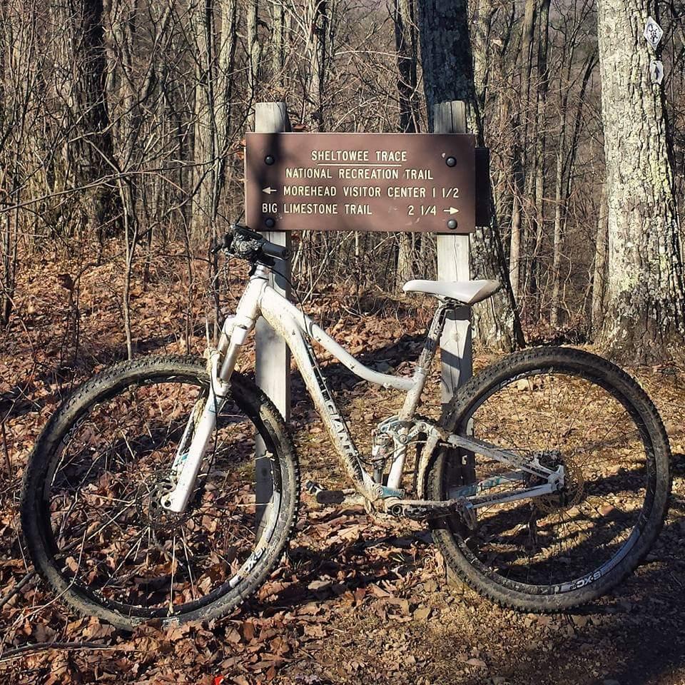 A white mountain bike resting against a trail sign, indicating the Sheltowee Trace National Recreation Trail, with directions to the Morehead Visitor Center and the Big Limestone Trail. The ground is covered in fallen leaves, and the surrounding area features trees in a wooded environment. The bike appears muddy, suggesting recent use on a trail. Cave-run Lake mountain bike trail.